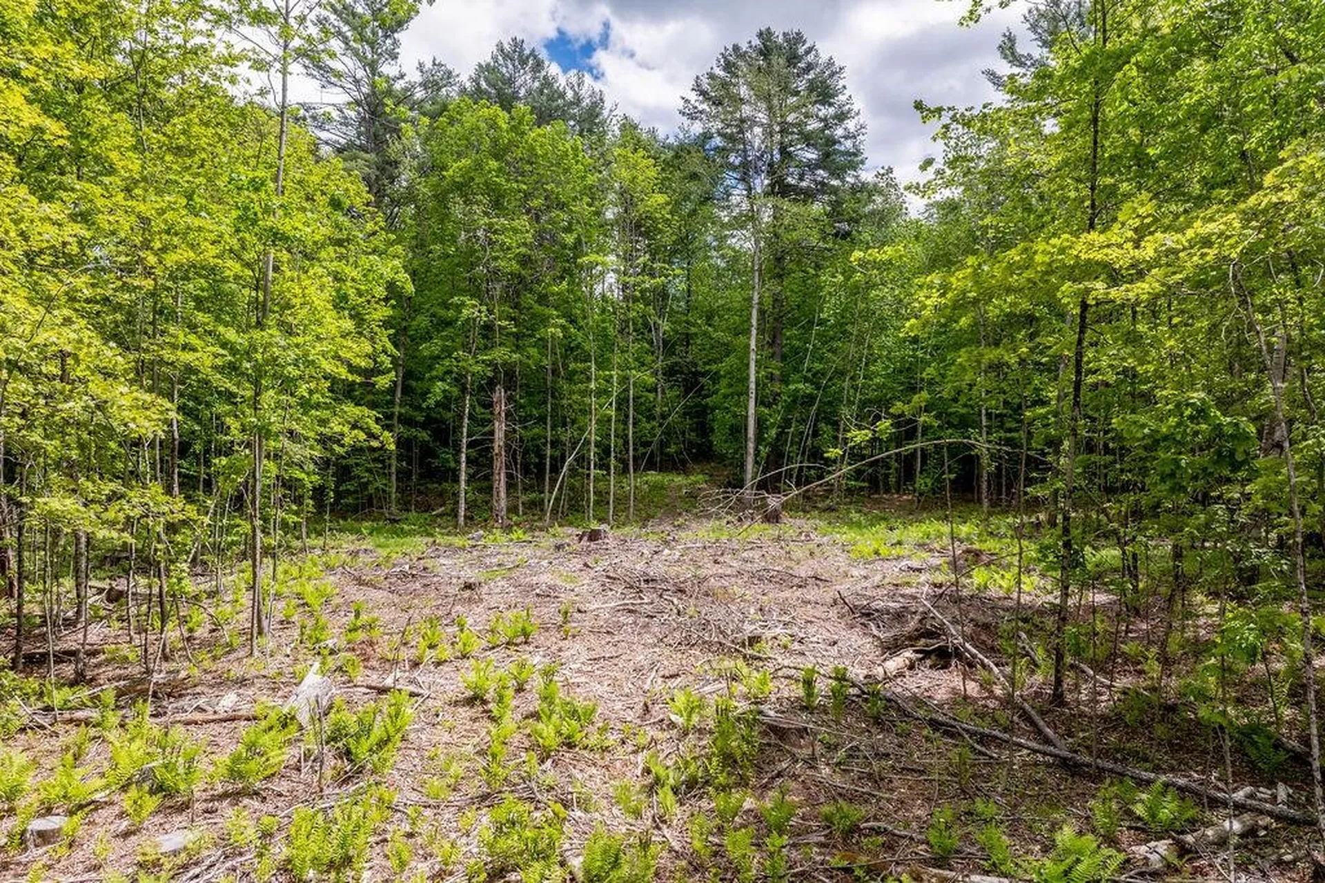 0 3.2 Bean Road Plainfield NH 03781