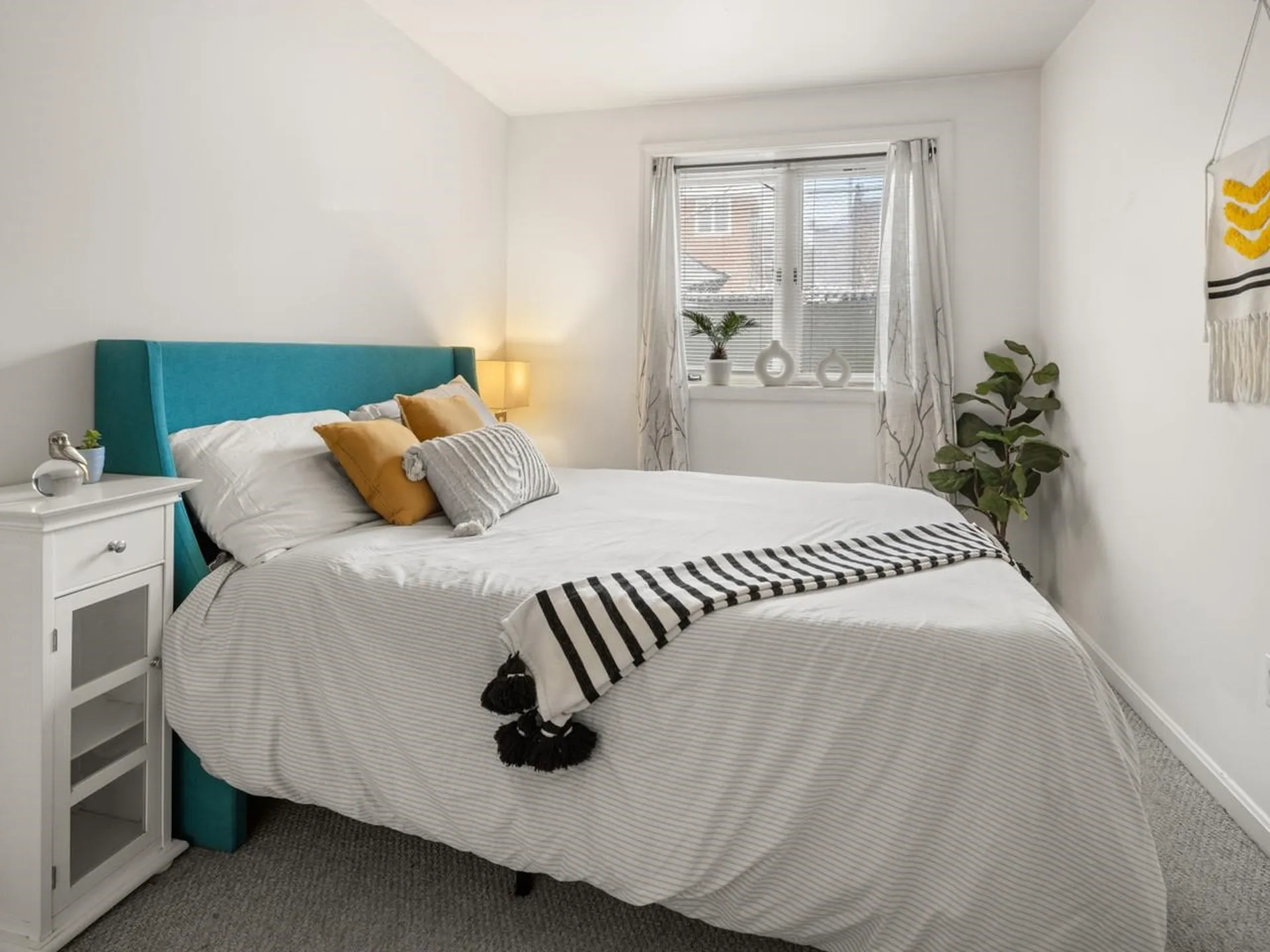 337 College Street Burlington VT 05401