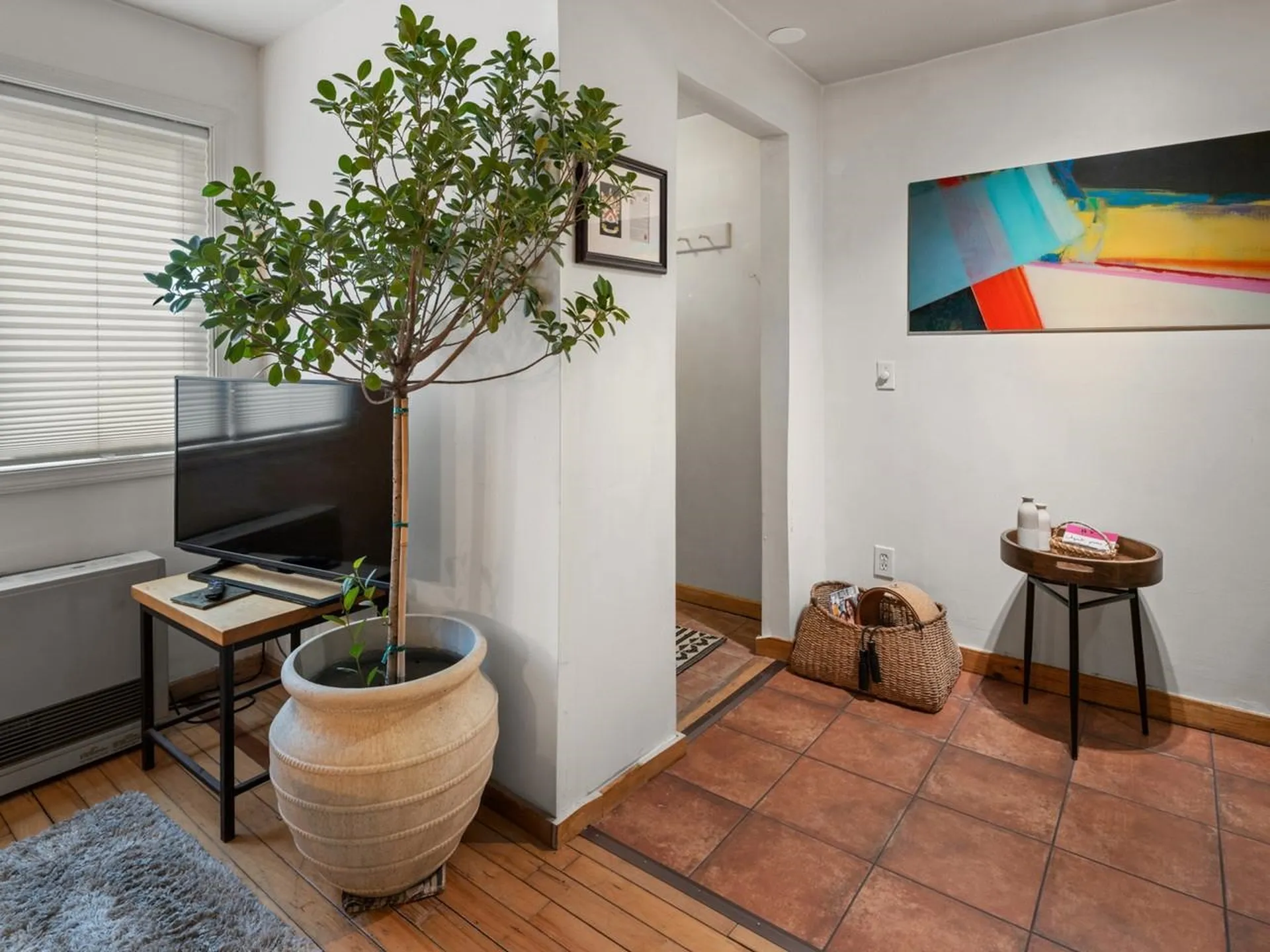 337 College Street Burlington VT 05401
