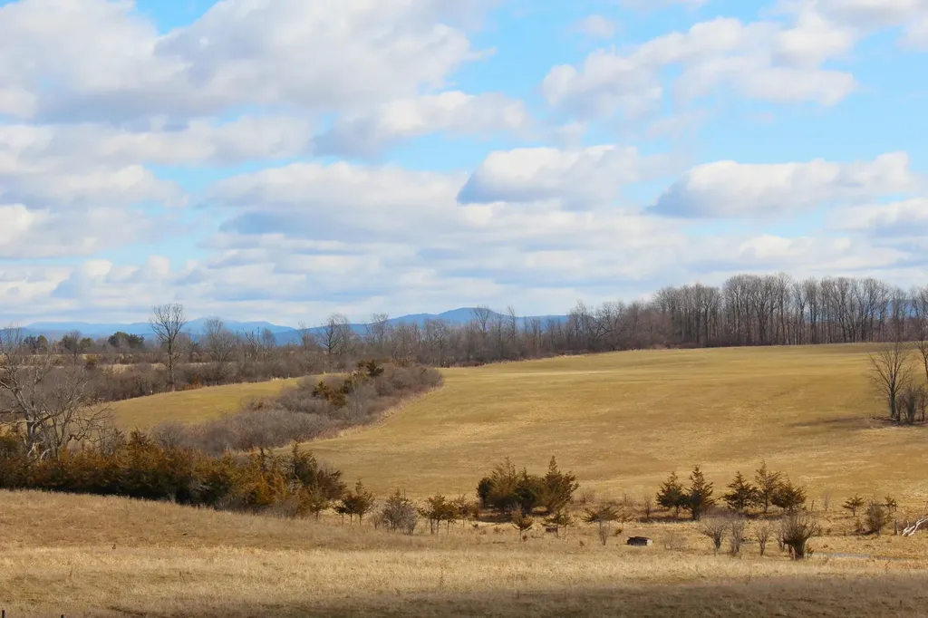 812 Wooster Road Cornwall VT 05753