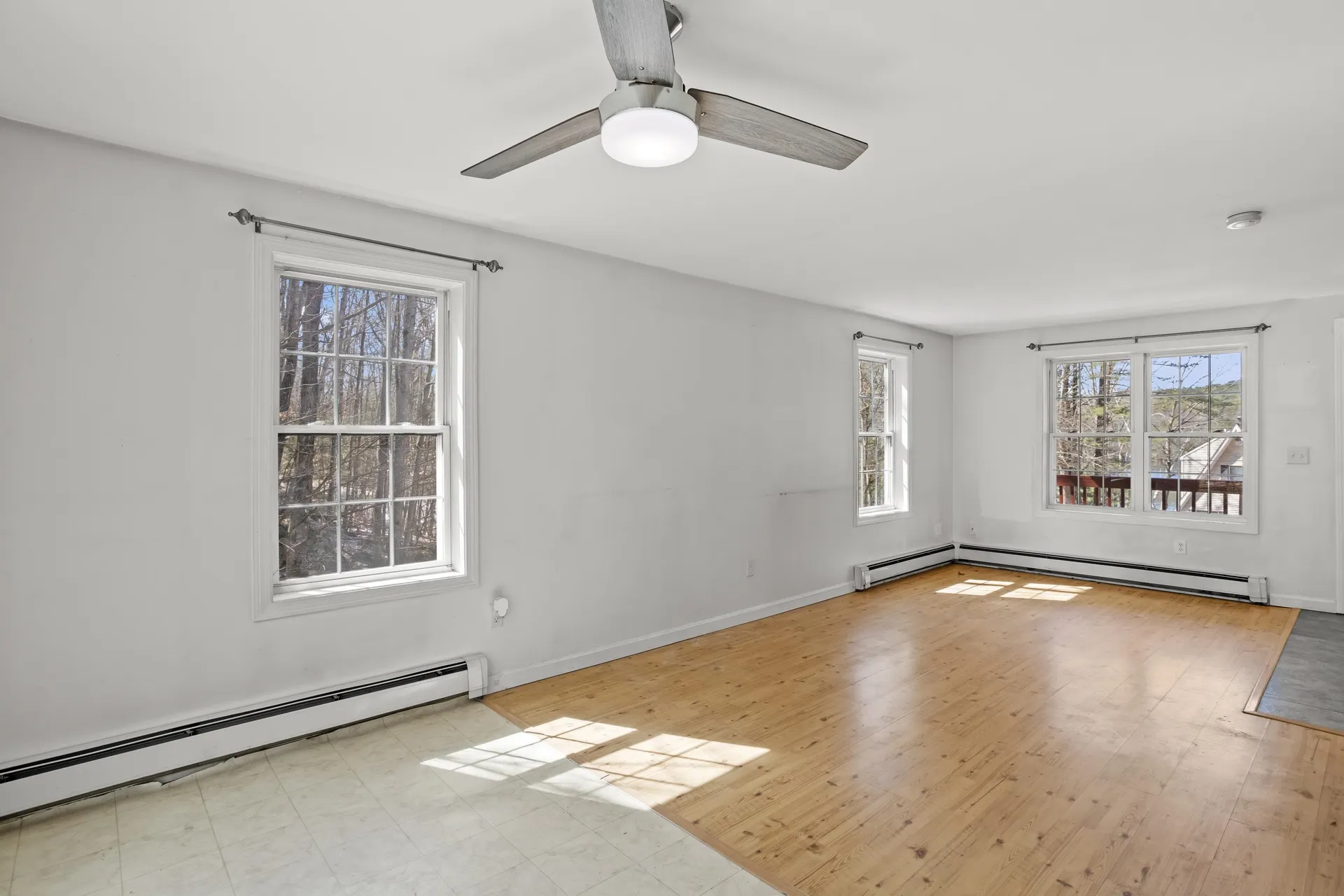66 New Hampshire Drive Webster NH 03303