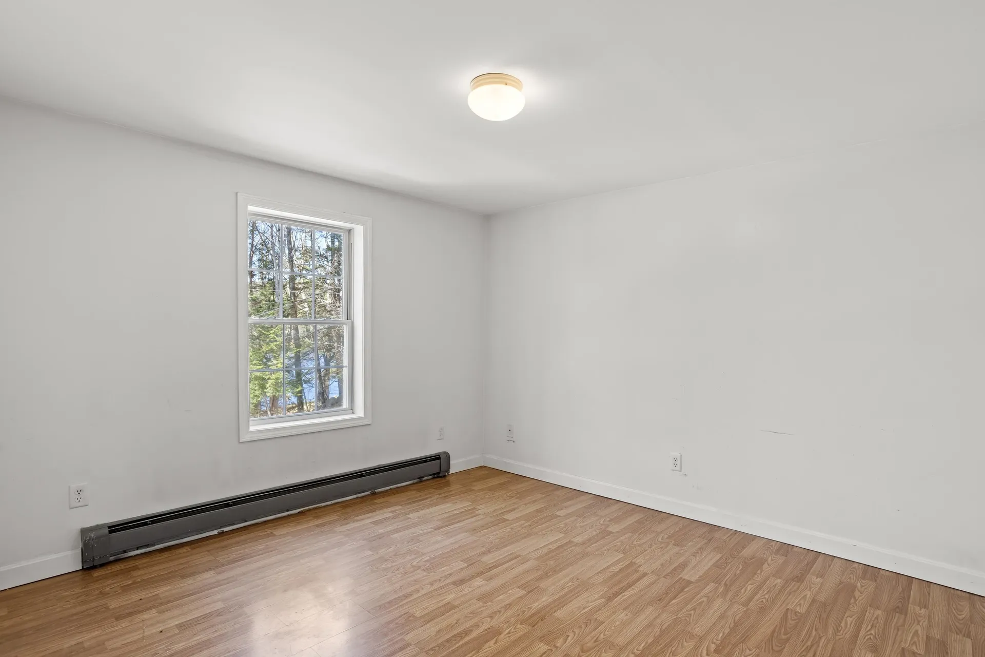 66 New Hampshire Drive Webster NH 03303