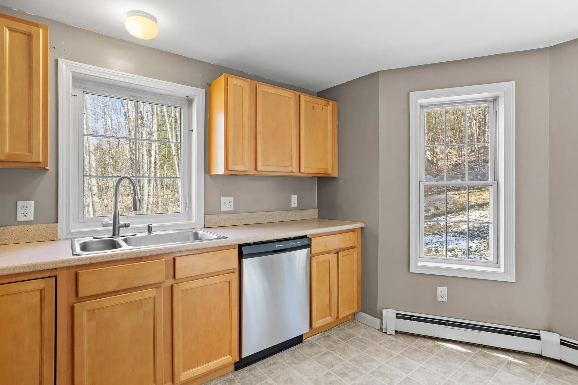 66 New Hampshire Drive Webster NH 03303