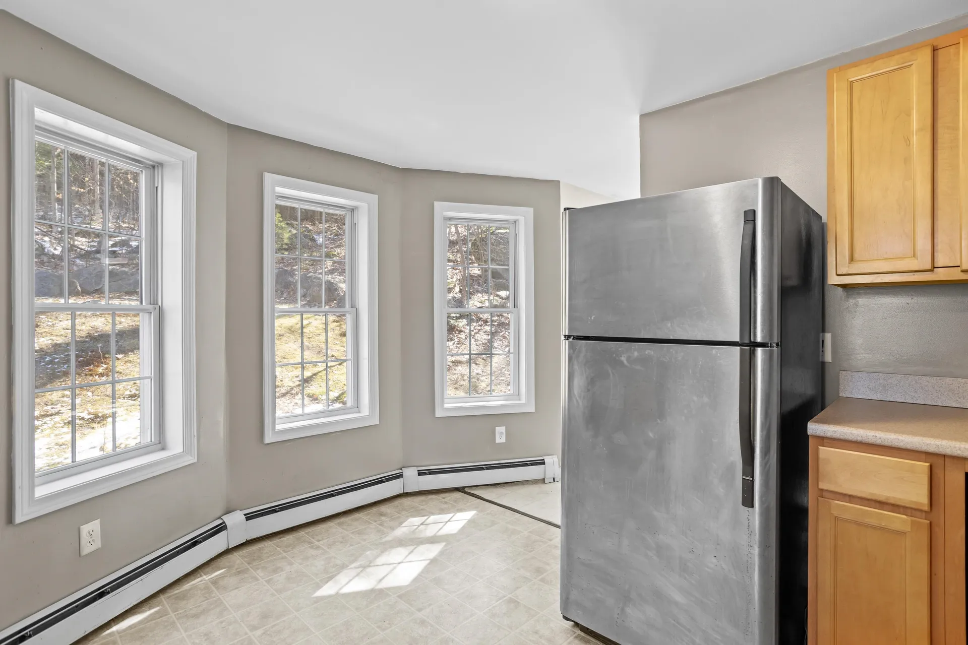 66 New Hampshire Drive Webster NH 03303