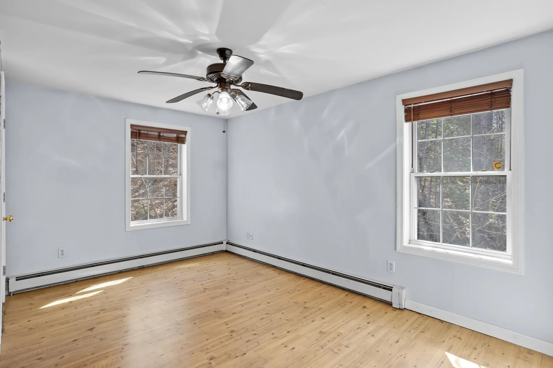 66 New Hampshire Drive Webster NH 03303