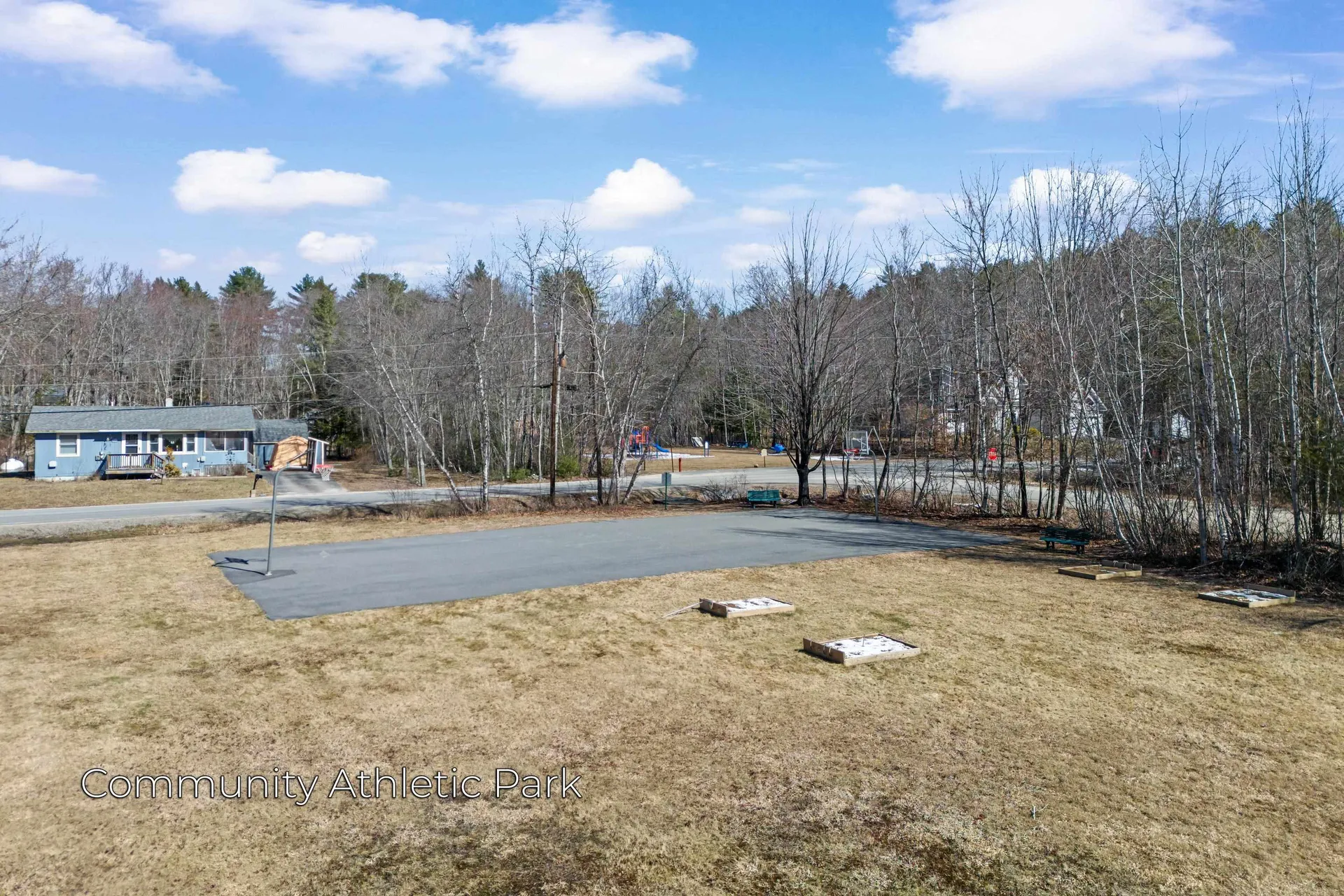 66 New Hampshire Drive Webster NH 03303