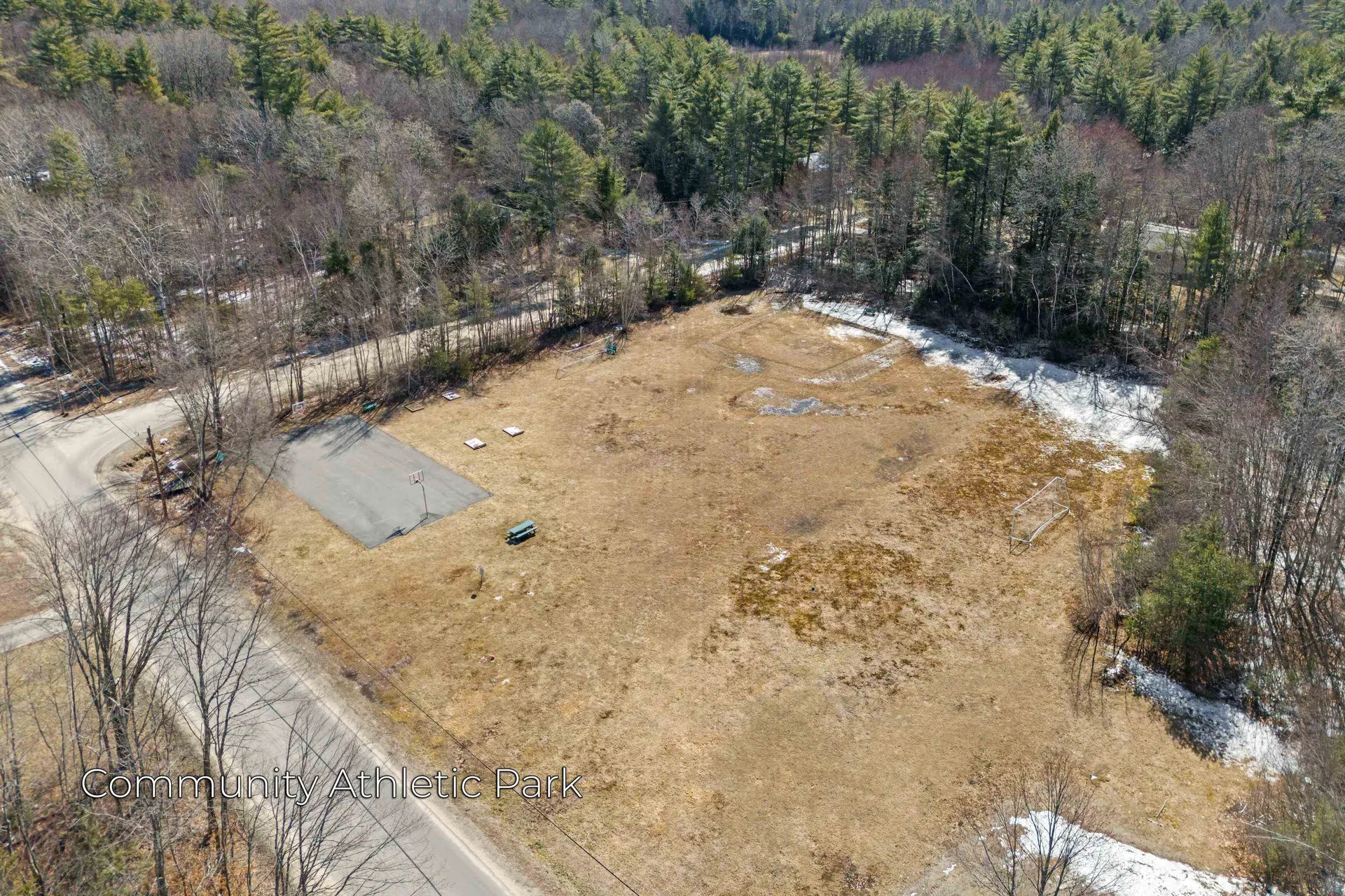 66 New Hampshire Drive Webster NH 03303