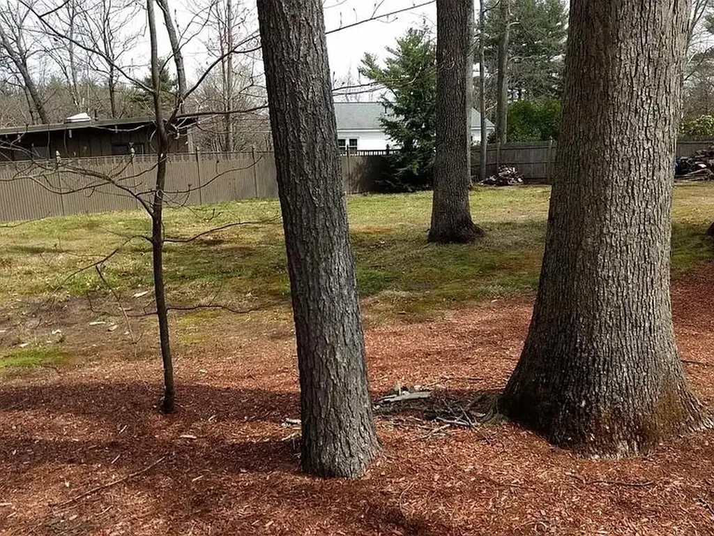 18 Boylston Avenue Nashua NH 03064