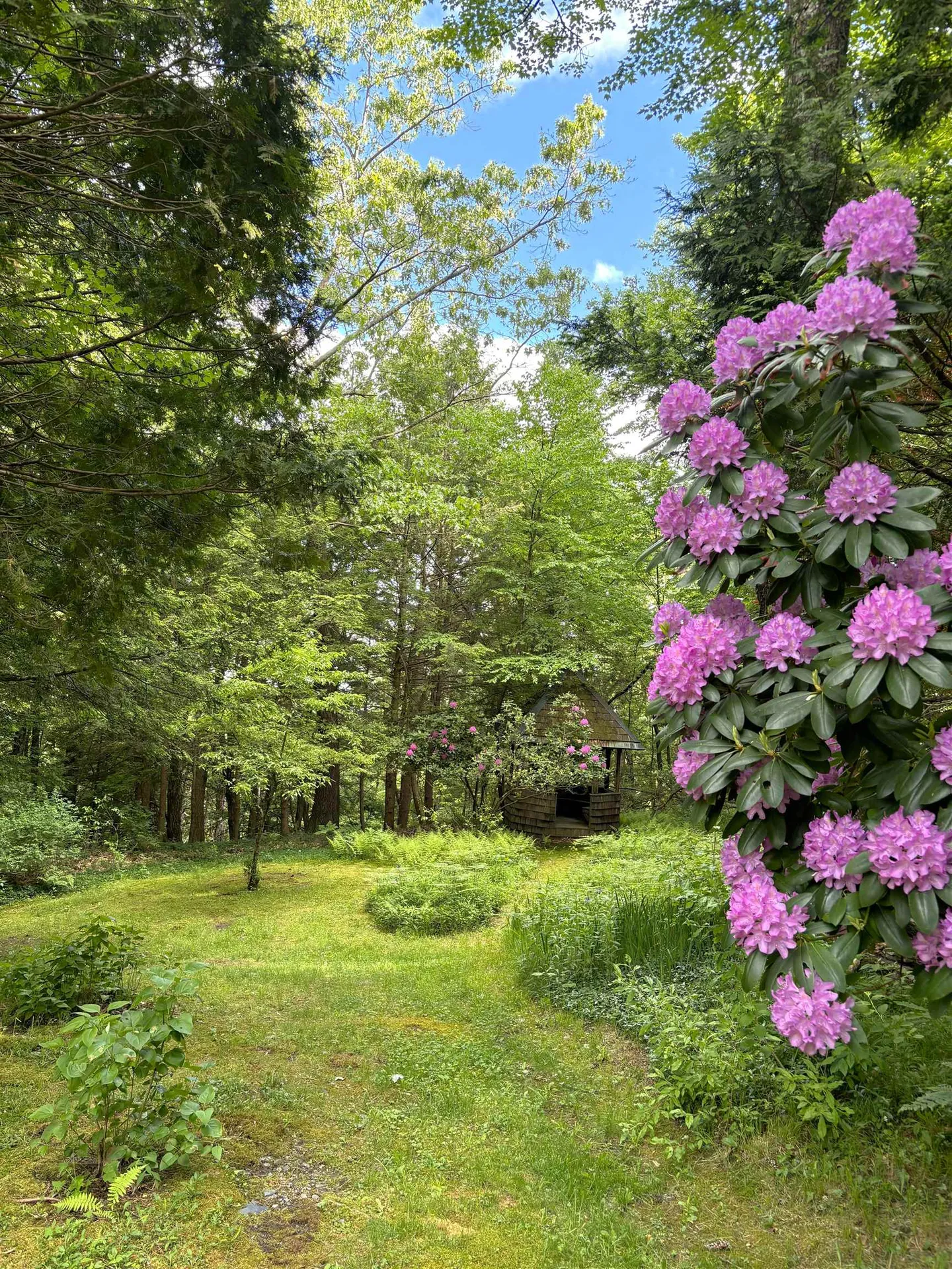 71 Woods Road Dummerston VT 05346