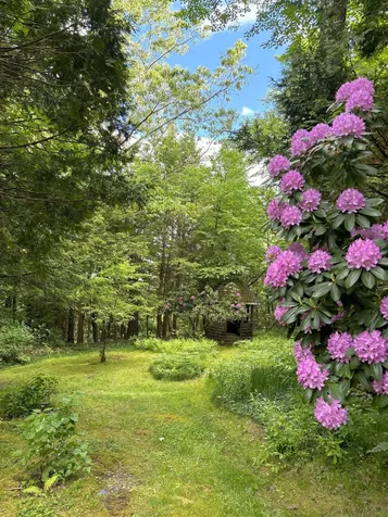 71 Woods Road Dummerston VT 05346