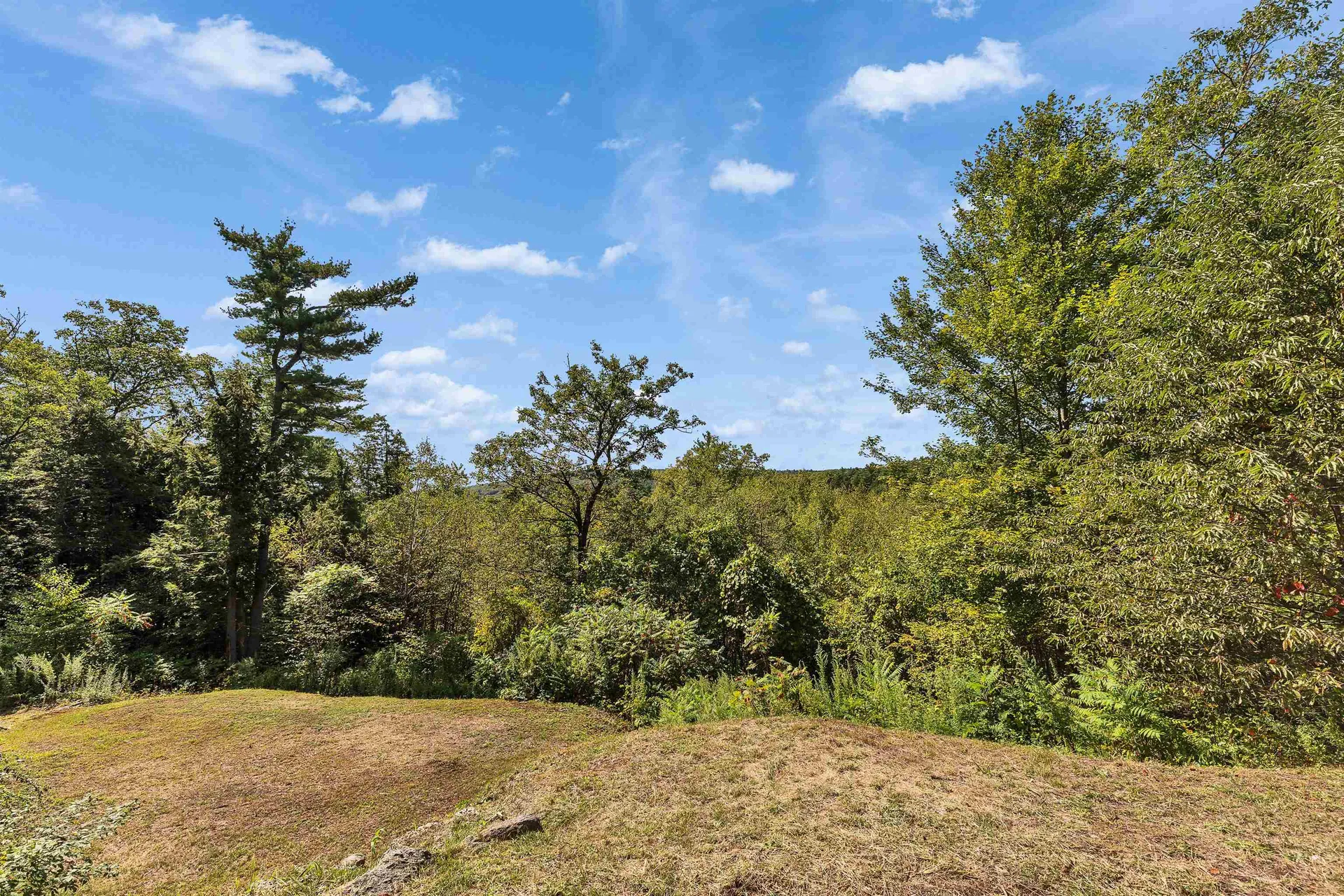 51 Megan Lane Hillsborough NH 03244