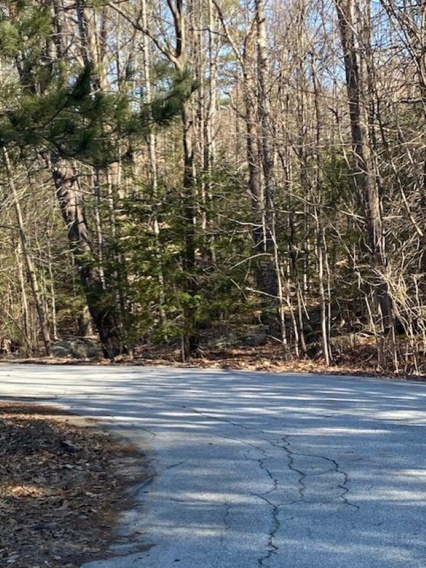 Orchard View Drive Amherst NH 03031
