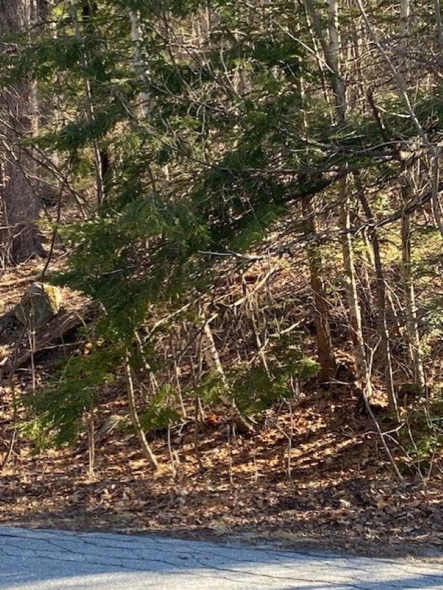 Orchard View Drive Amherst NH 03031