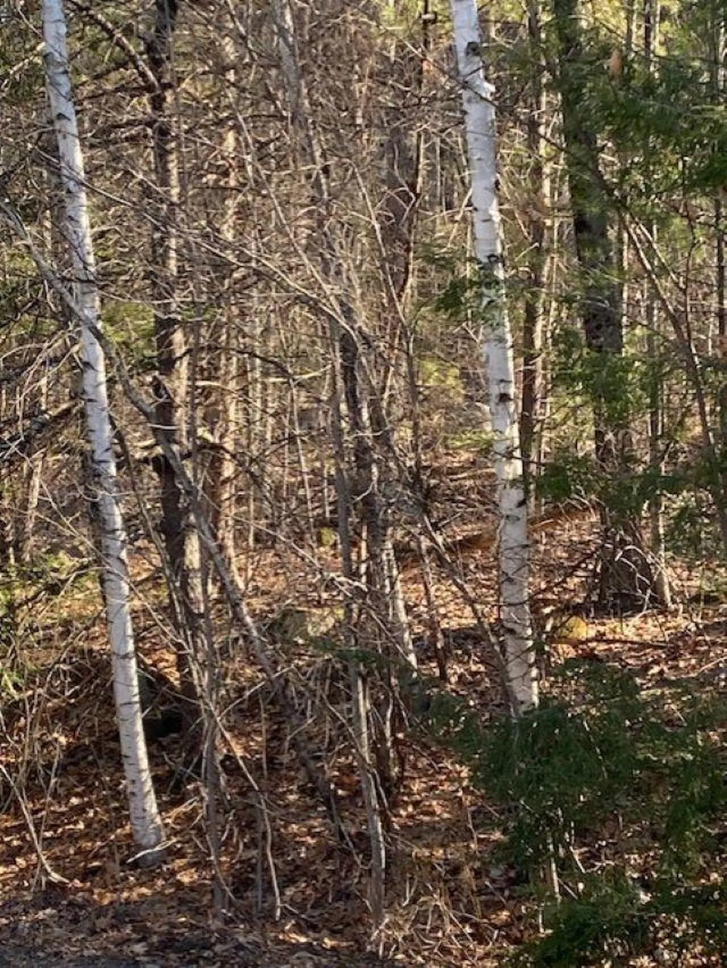 Orchard View Drive Amherst NH 03031
