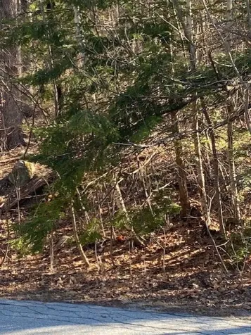 Orchard View Drive Amherst NH 03031