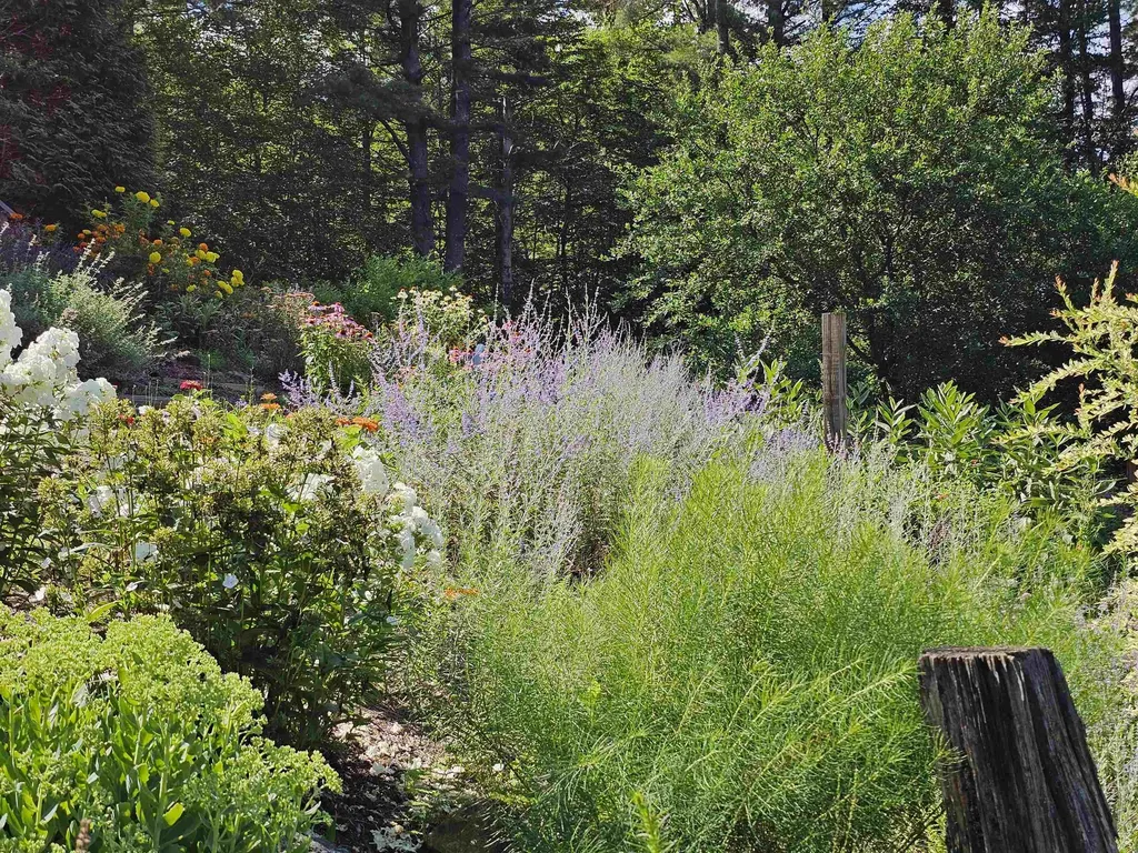 214 Pine Acres Road Townshend VT 05353