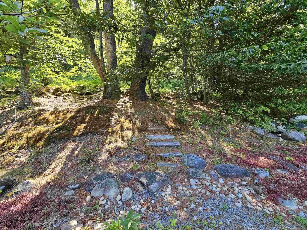 214 Pine Acres Road Townshend VT 05353