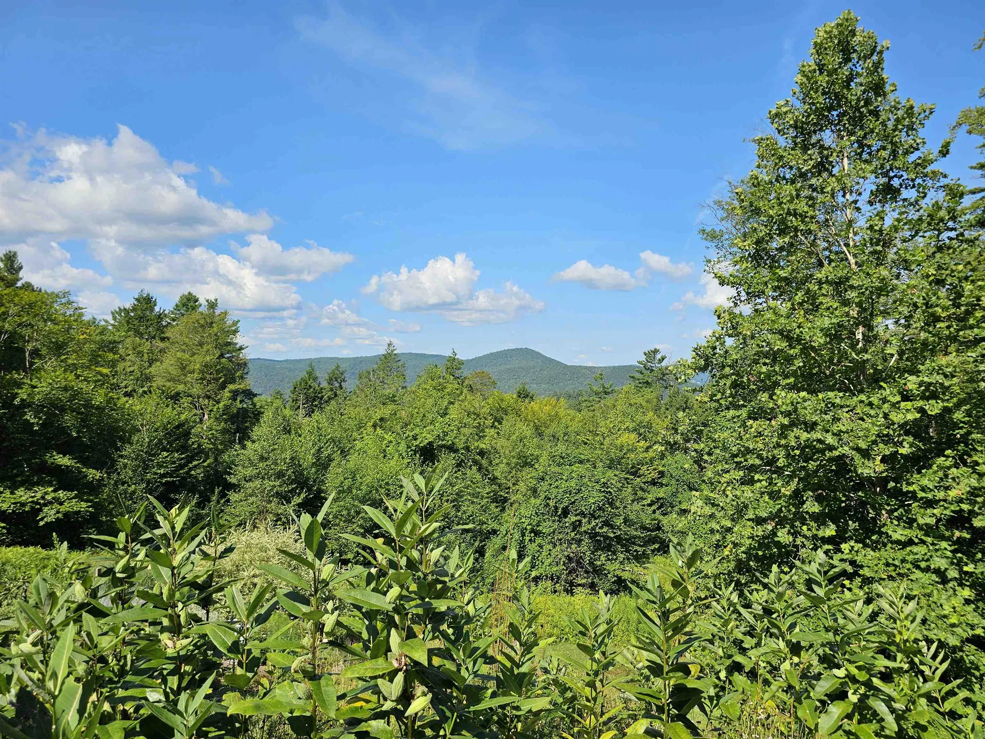 214 Pine Acres Road Townshend VT 05353