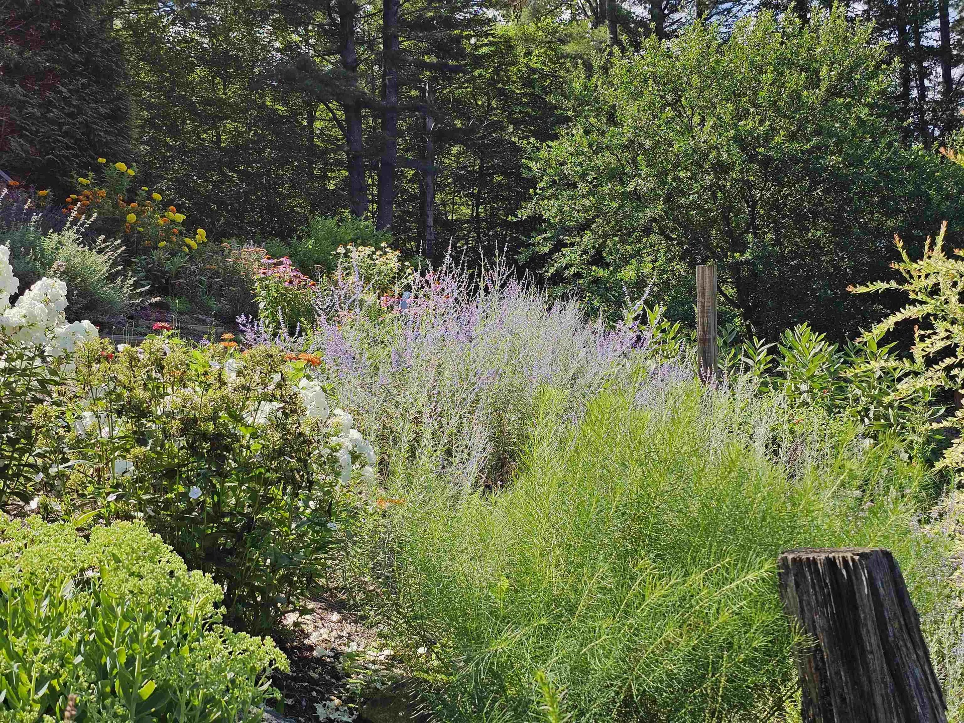 214 Pine Acres Road Townshend VT 05353