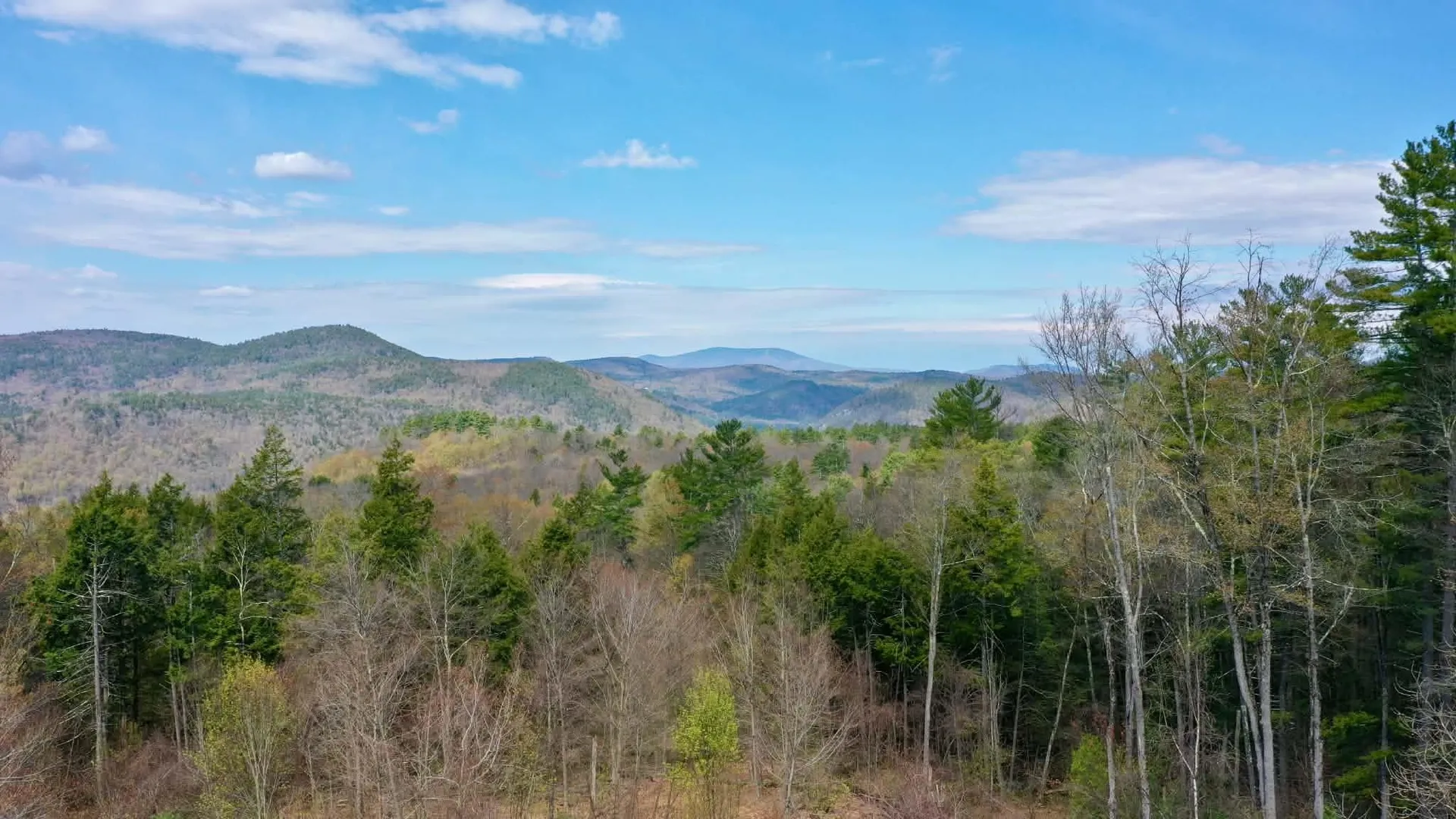 214 Pine Acres Road Townshend VT 05353