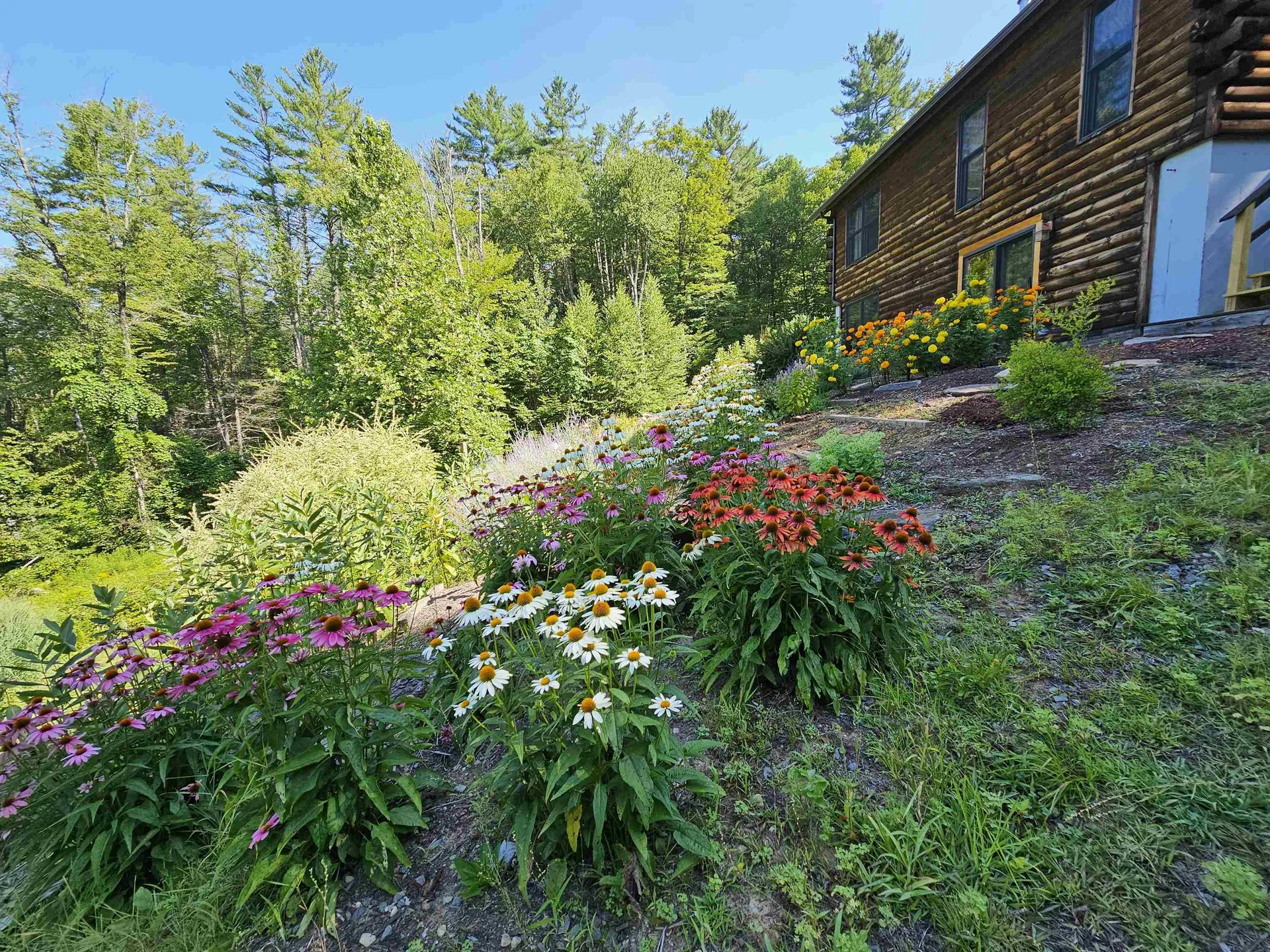 214 Pine Acres Road Townshend VT 05353