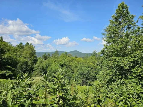 214 Pine Acres Road Townshend VT 05353