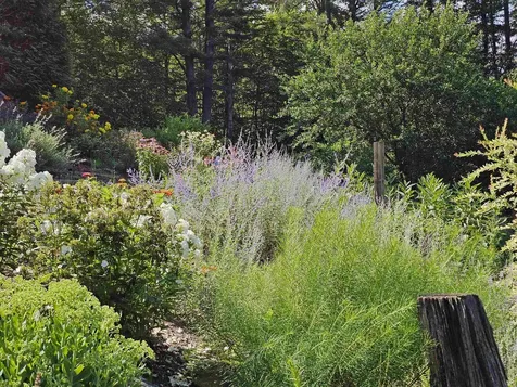 214 Pine Acres Road Townshend VT 05353