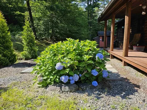 214 Pine Acres Road Townshend VT 05353