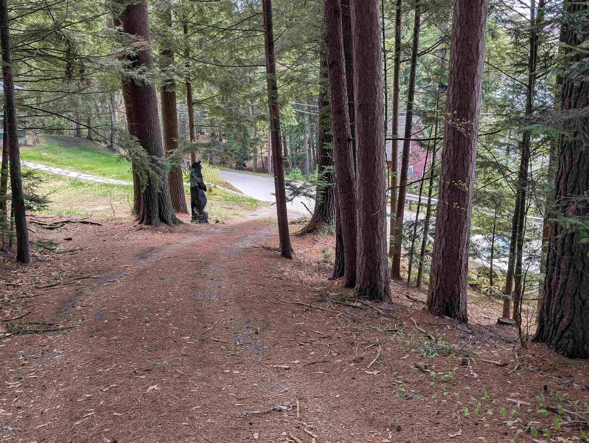 425 Partridge Lake Road Littleton NH 03561