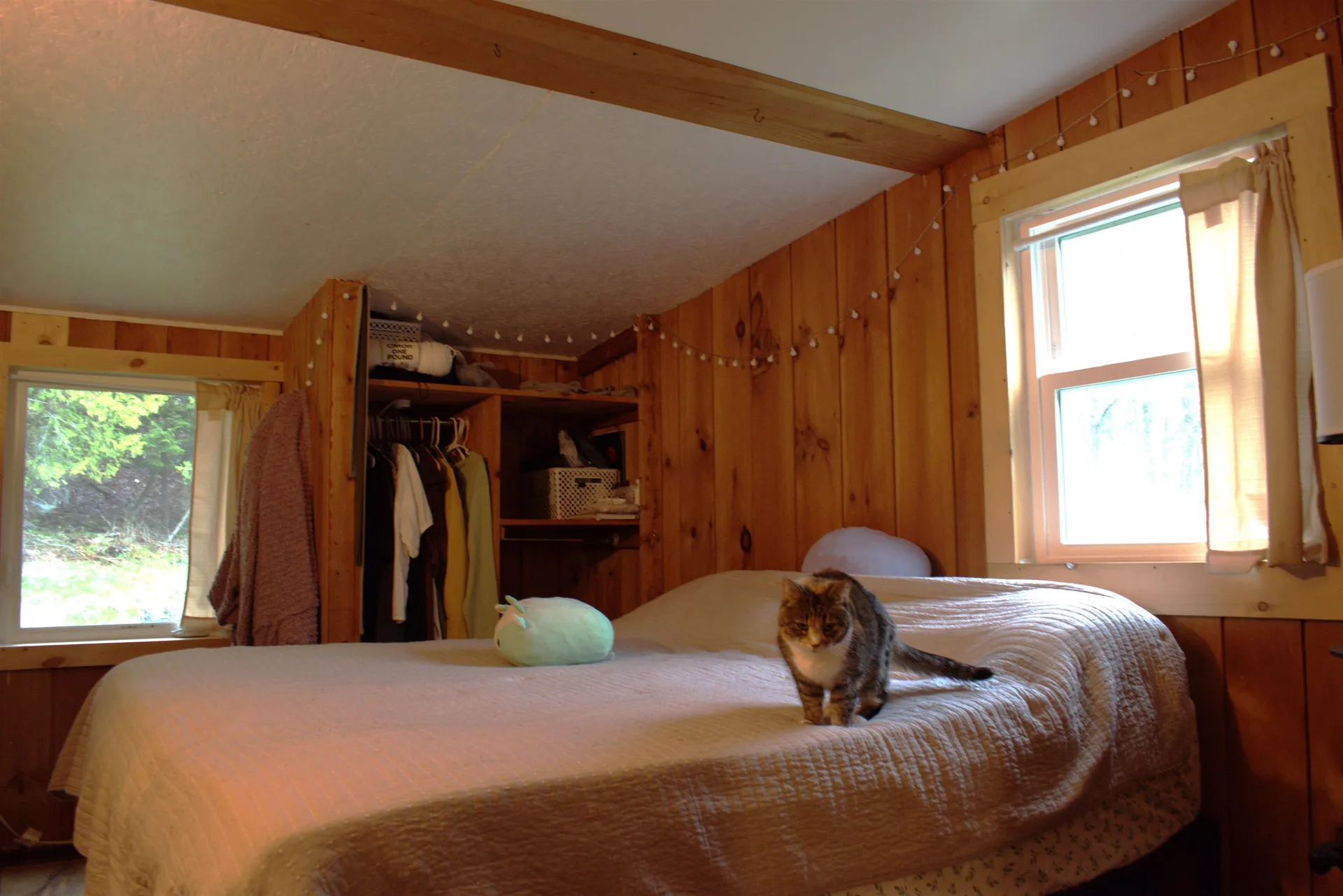 54 Assisqua Avenue St. Johnsbury VT 05819