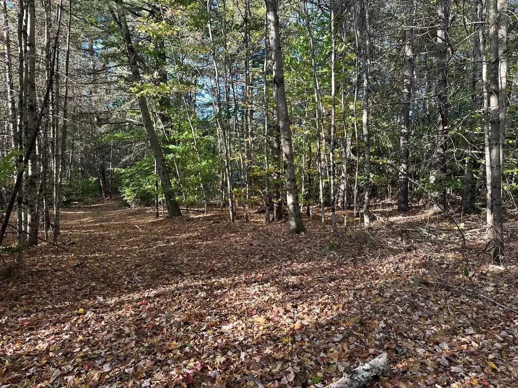 19 Sunrise Hill Road Thornton NH 03285