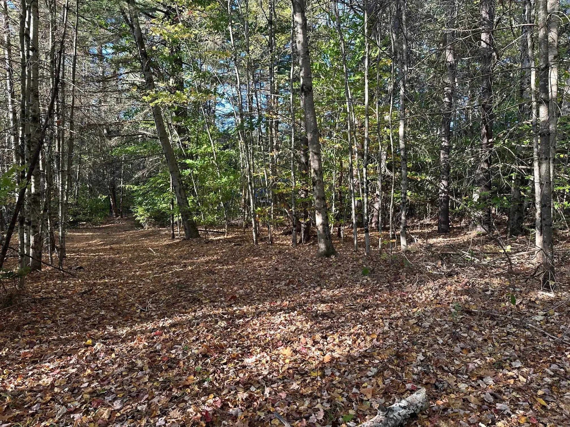 19 Sunrise Hill Road Thornton NH 03285