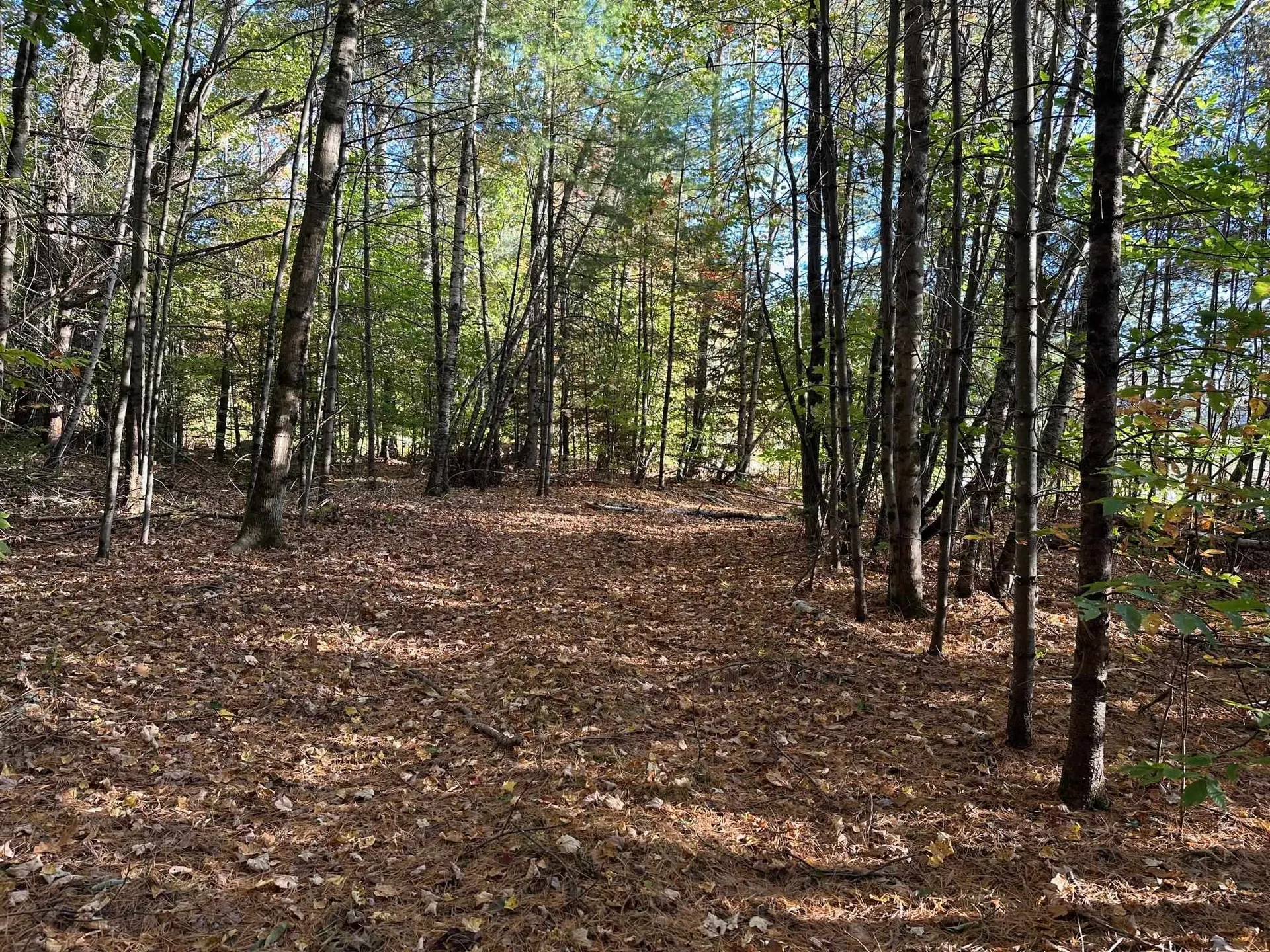 19 Sunrise Hill Road Thornton NH 03285