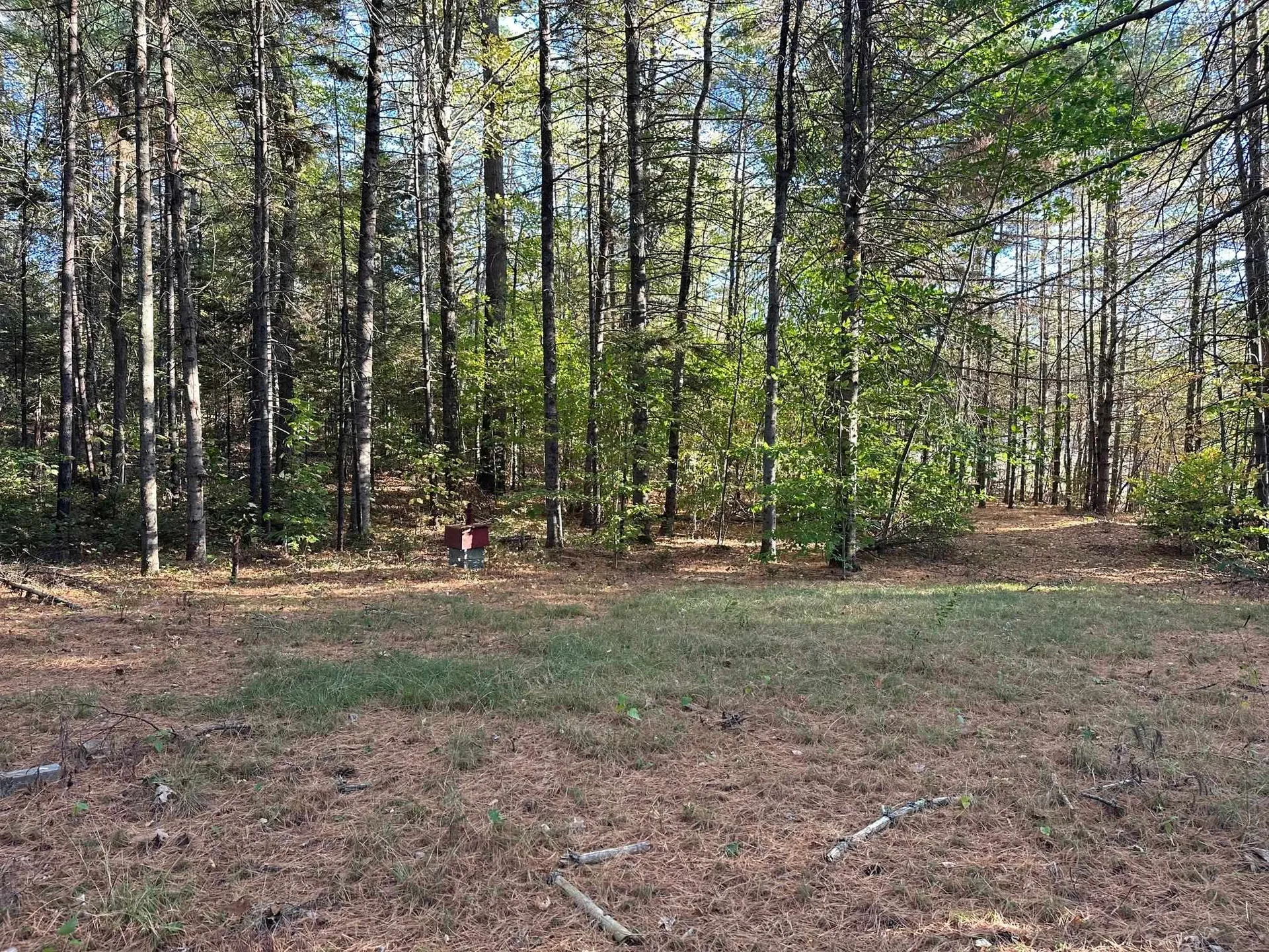19 Sunrise Hill Road Thornton NH 03285