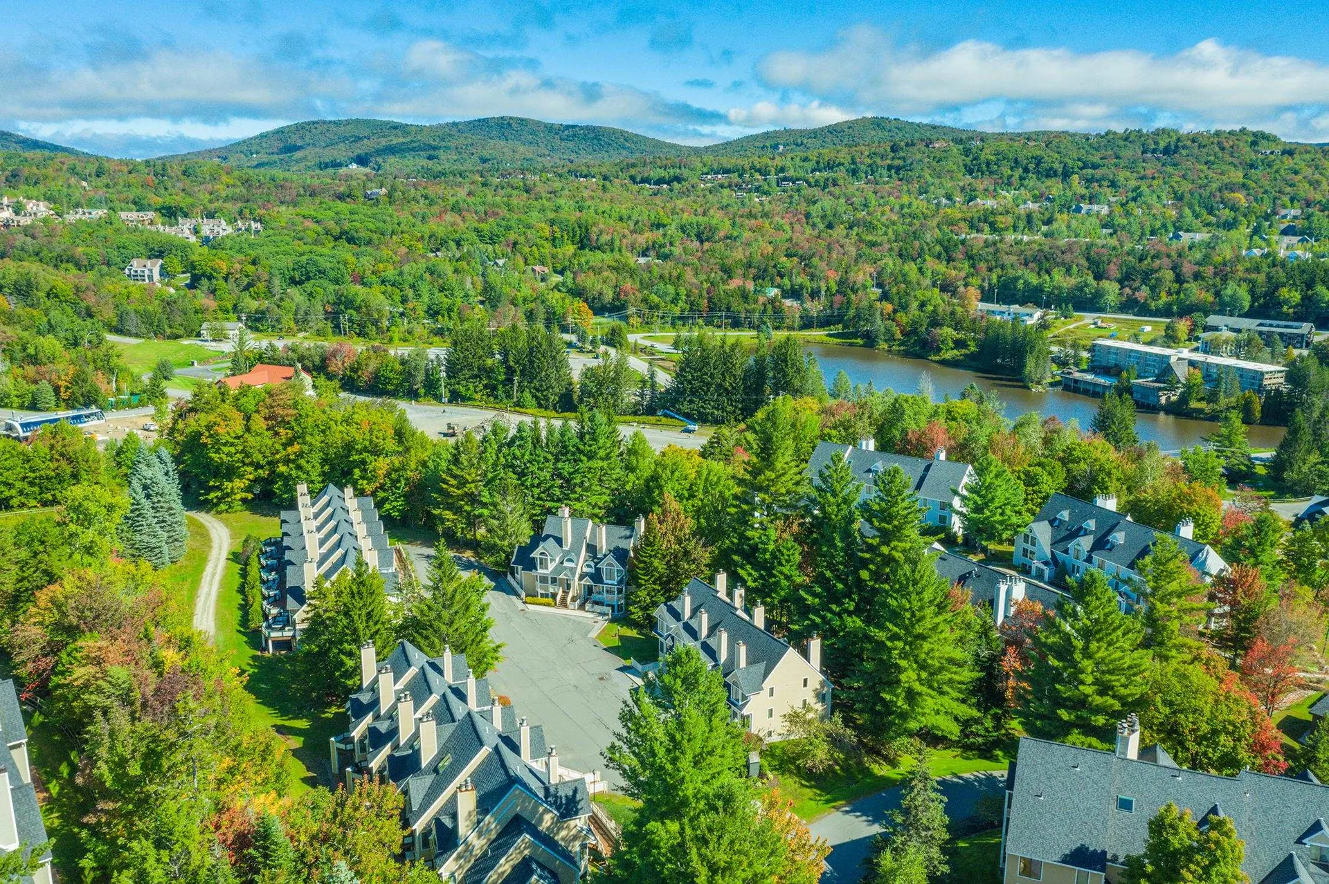 1D Townhouse Square Dover VT 05356