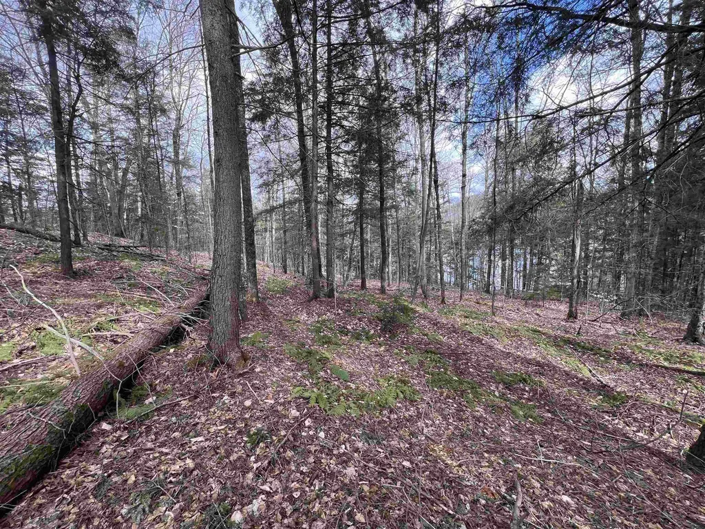 Tbd Rathburn Road Woodbury VT 05681