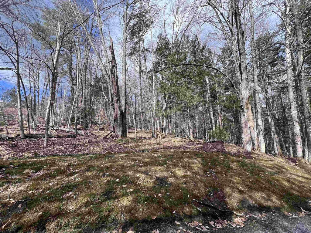 Tbd Rathburn Road Woodbury VT 05681