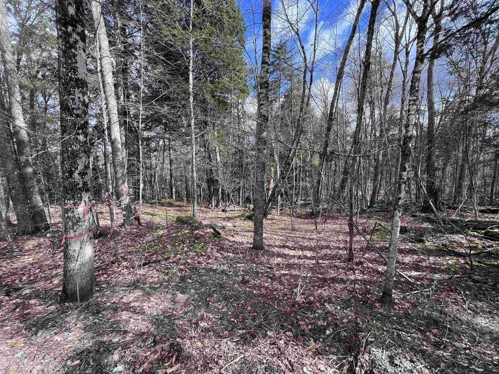 Tbd Rathburn Road Woodbury VT 05681