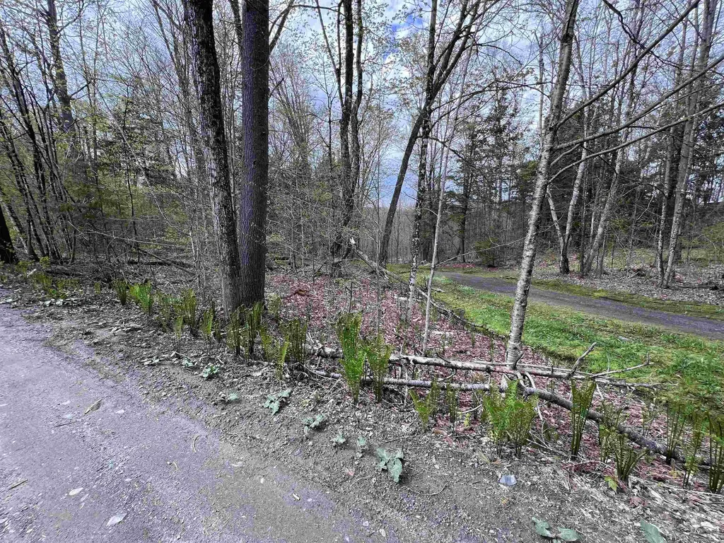 Tbd Rathburn Road Woodbury VT 05681
