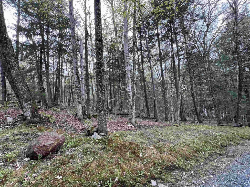Tbd Rathburn Road Woodbury VT 05681