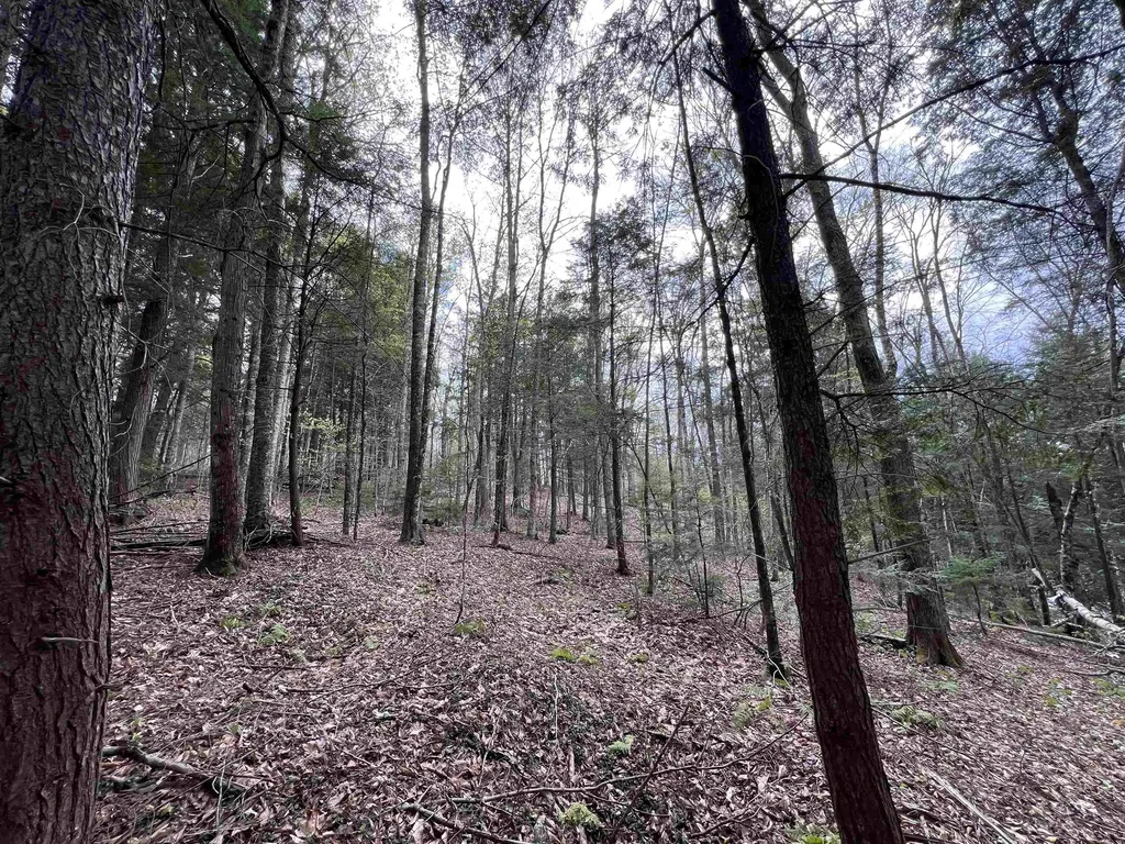 Tbd Rathburn Road Woodbury VT 05681