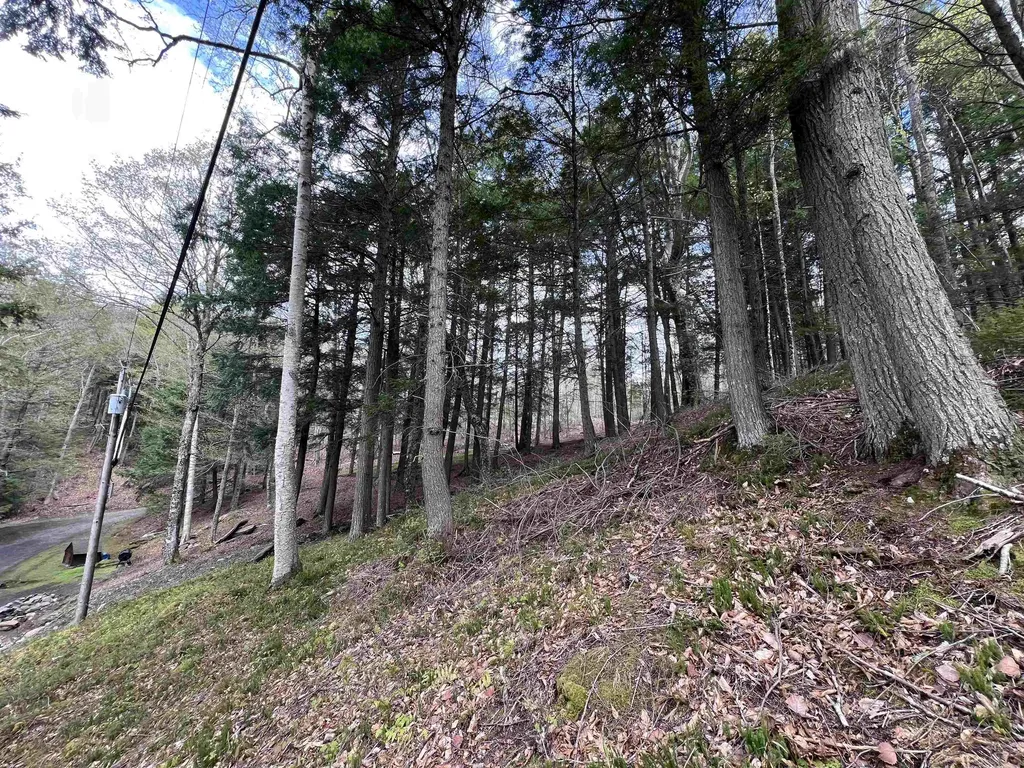 Tbd Rathburn Road Woodbury VT 05681