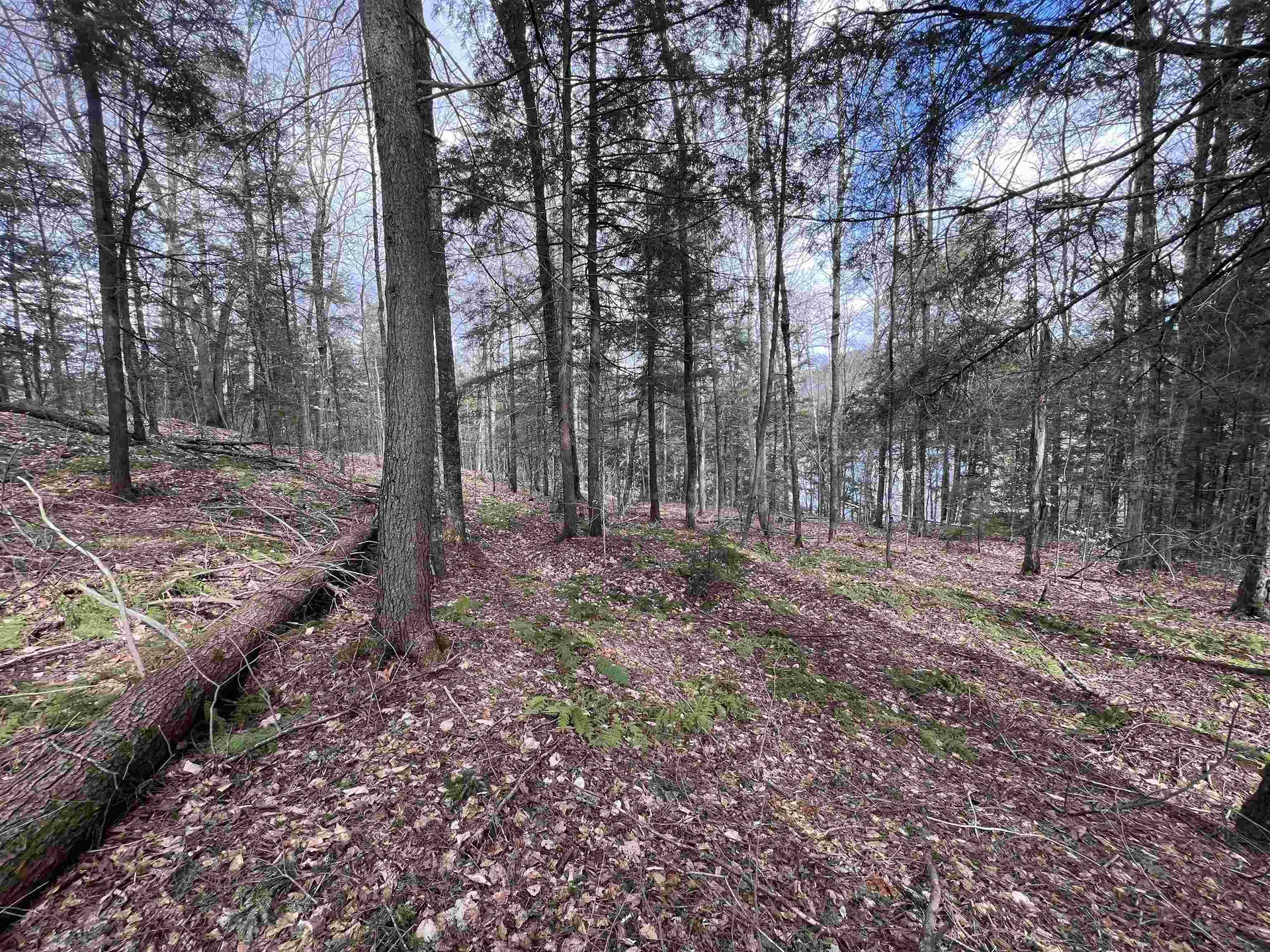 Tbd Rathburn Road Woodbury VT 05681
