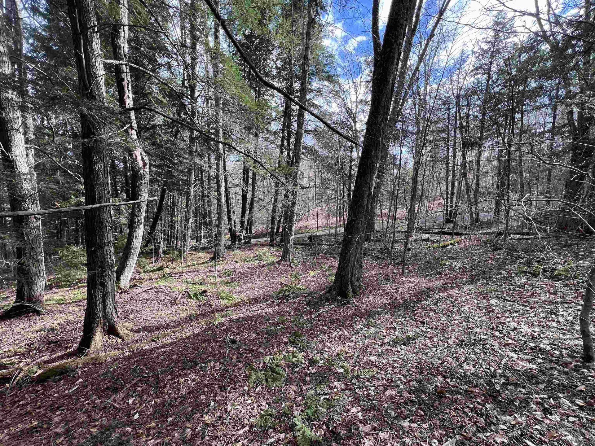 Tbd Rathburn Road Woodbury VT 05681
