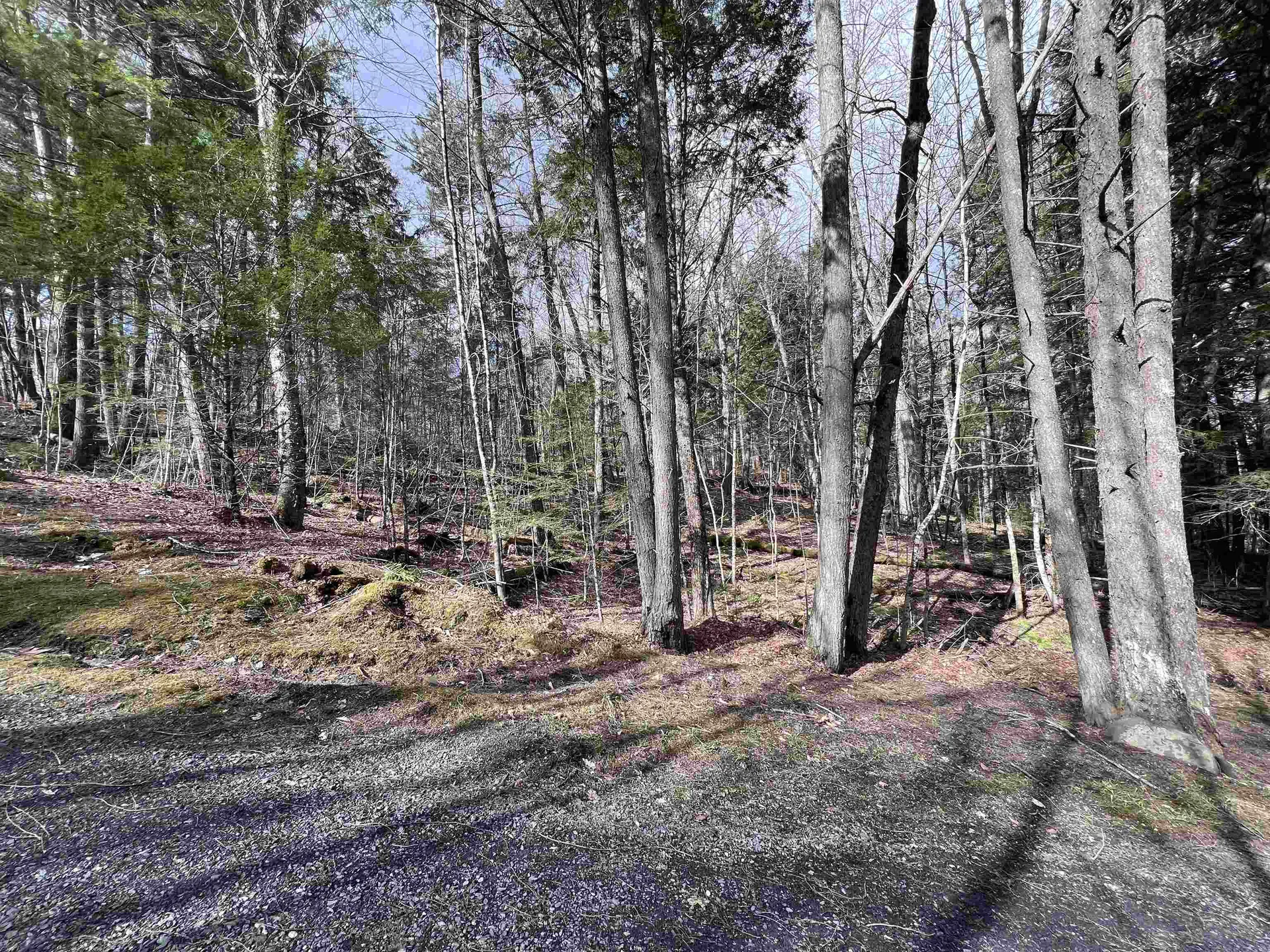 Tbd Rathburn Road Woodbury VT 05681