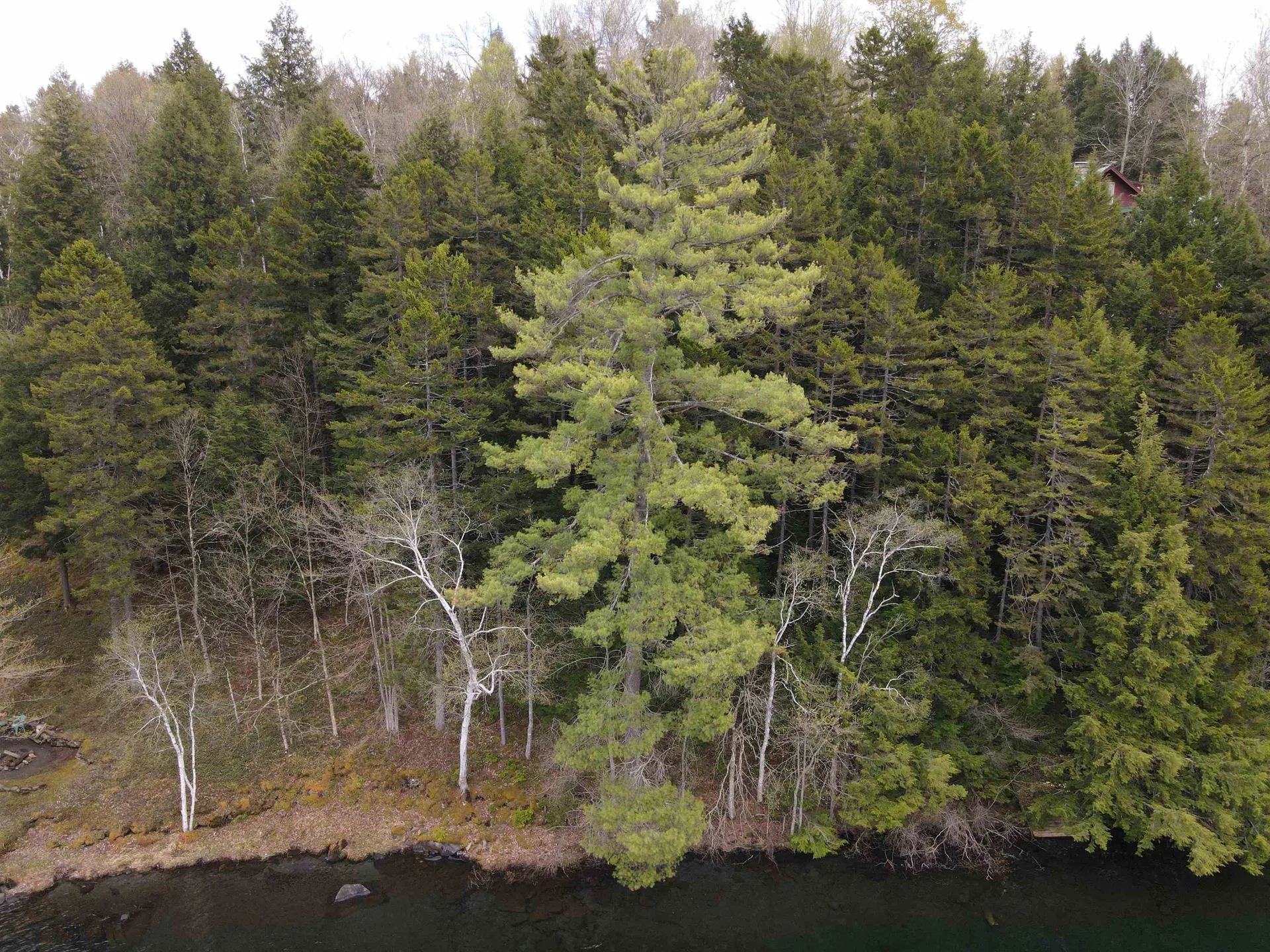 Tbd Rathburn Road Woodbury VT 05681