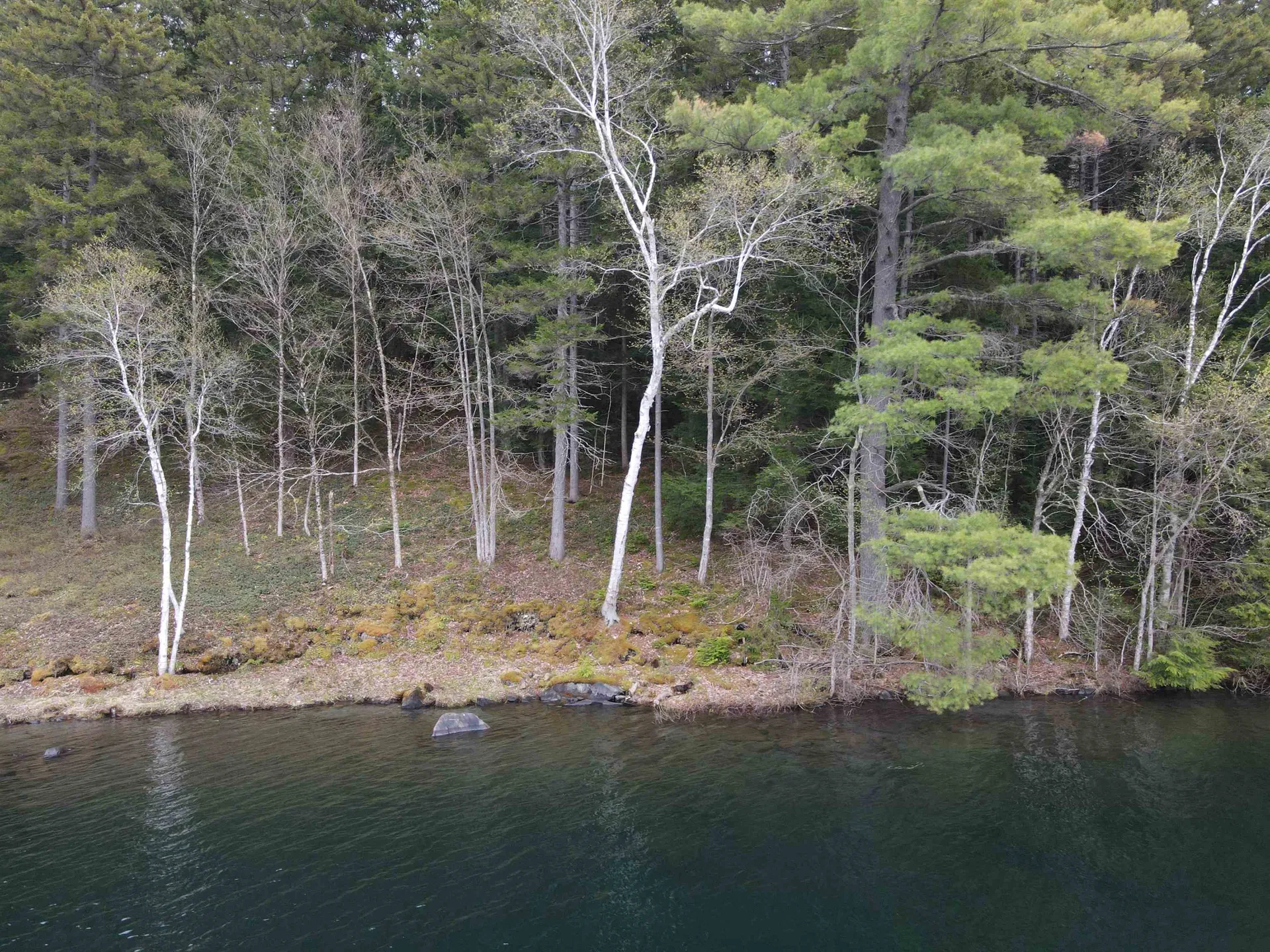 Tbd Rathburn Road Woodbury VT 05681