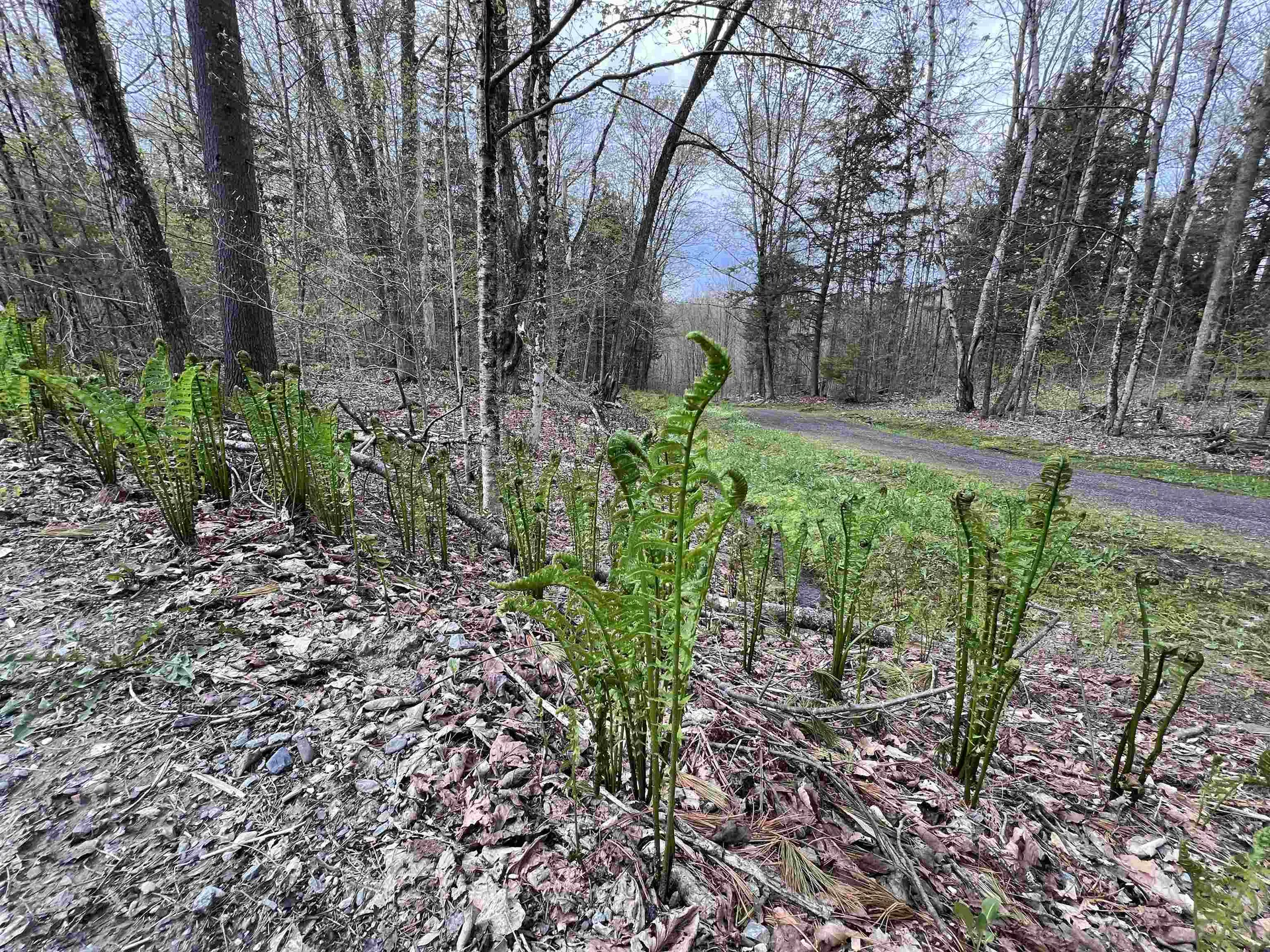 Tbd Rathburn Road Woodbury VT 05681