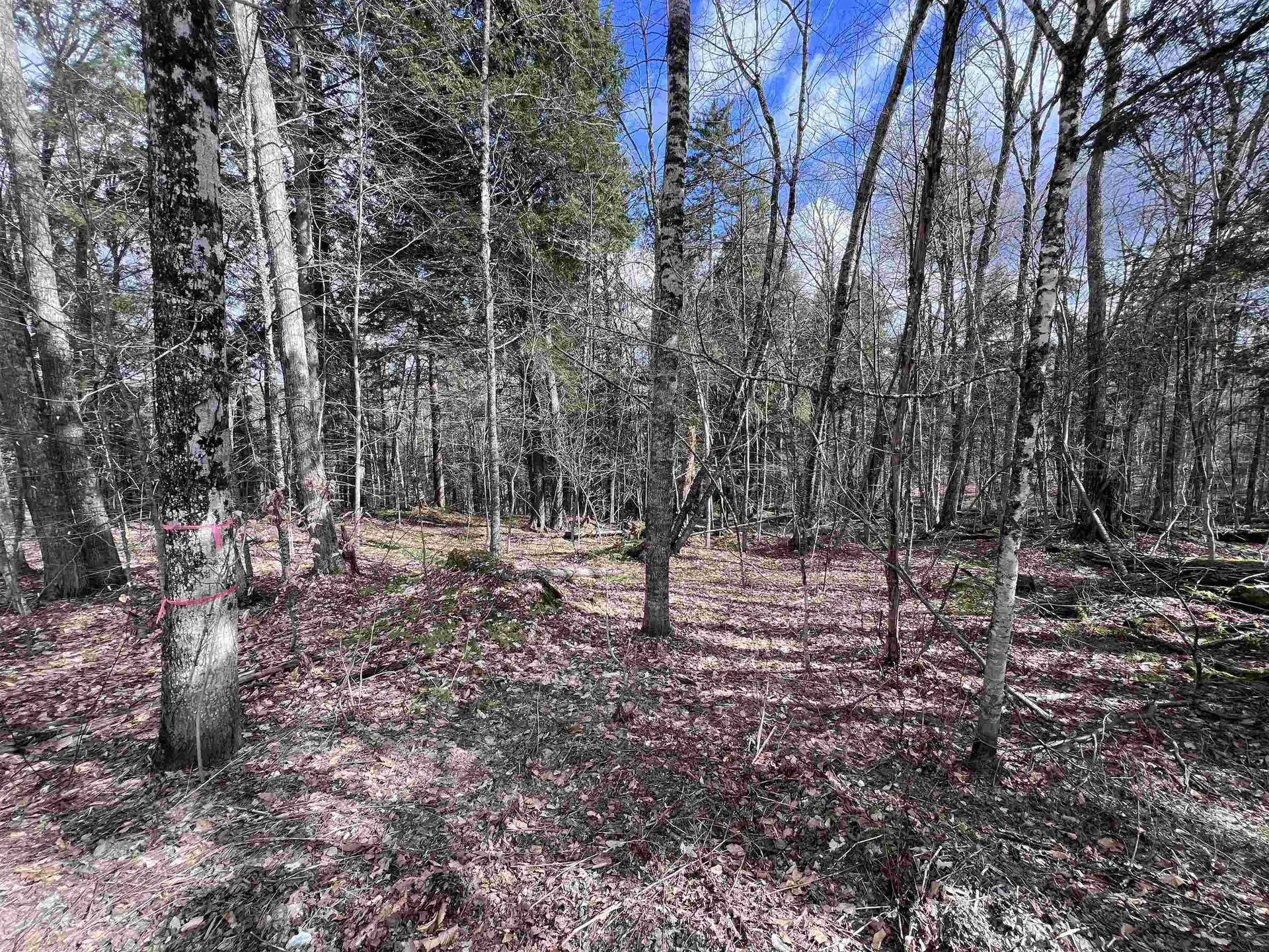 Tbd Rathburn Road Woodbury VT 05681