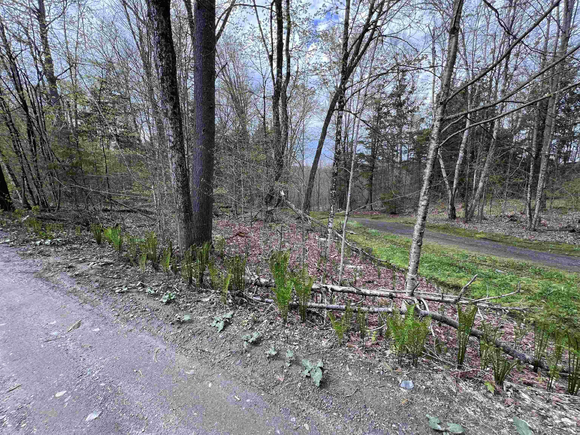 Tbd Rathburn Road Woodbury VT 05681